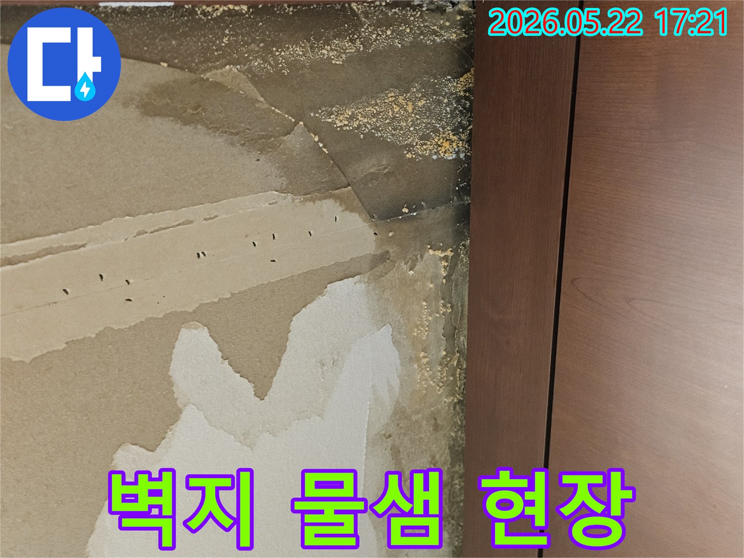 벽지가 물에 젖어-변색되고 들뜨며-벽면 손상이 심각한-누수 현장 사진