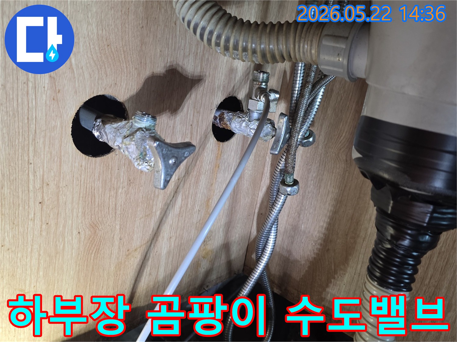 싱크대 하부장 내부의 수도 밸브에서 물이 새어 나와 곰팡이를 유발하는 현장입니다