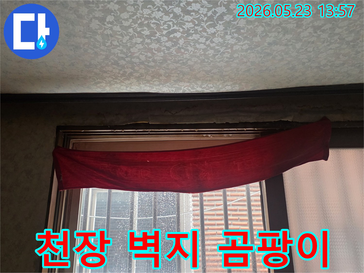 천장-벽지-젖음-현상과-곰팡이-흔적이-보이는-상가-누수-현장-사진입니다
