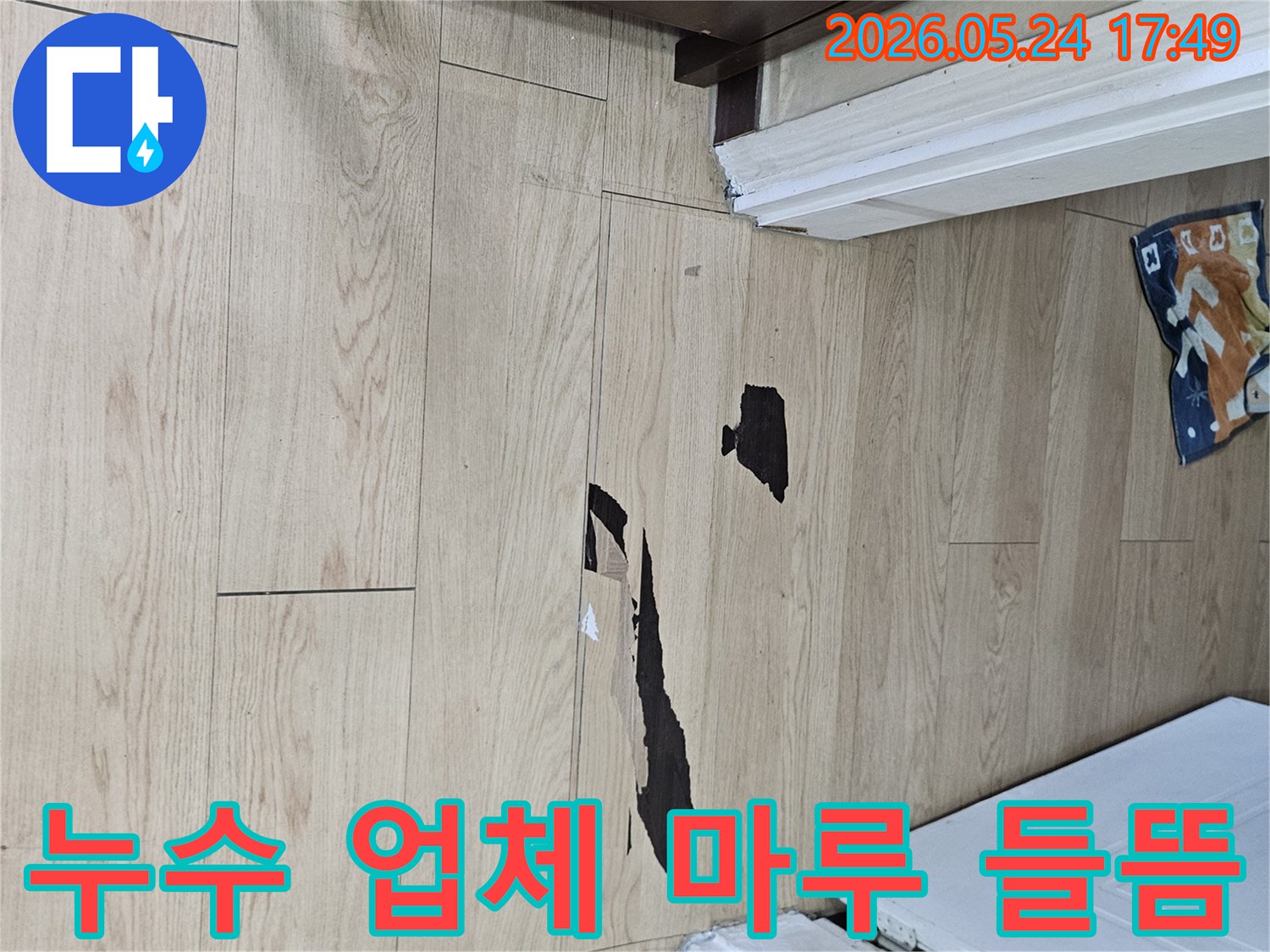 누수로 인해 마루 바닥이 들뜨고-변색된 현장에서-믿을 수 있는 누수 업체가 시공 준비 중
