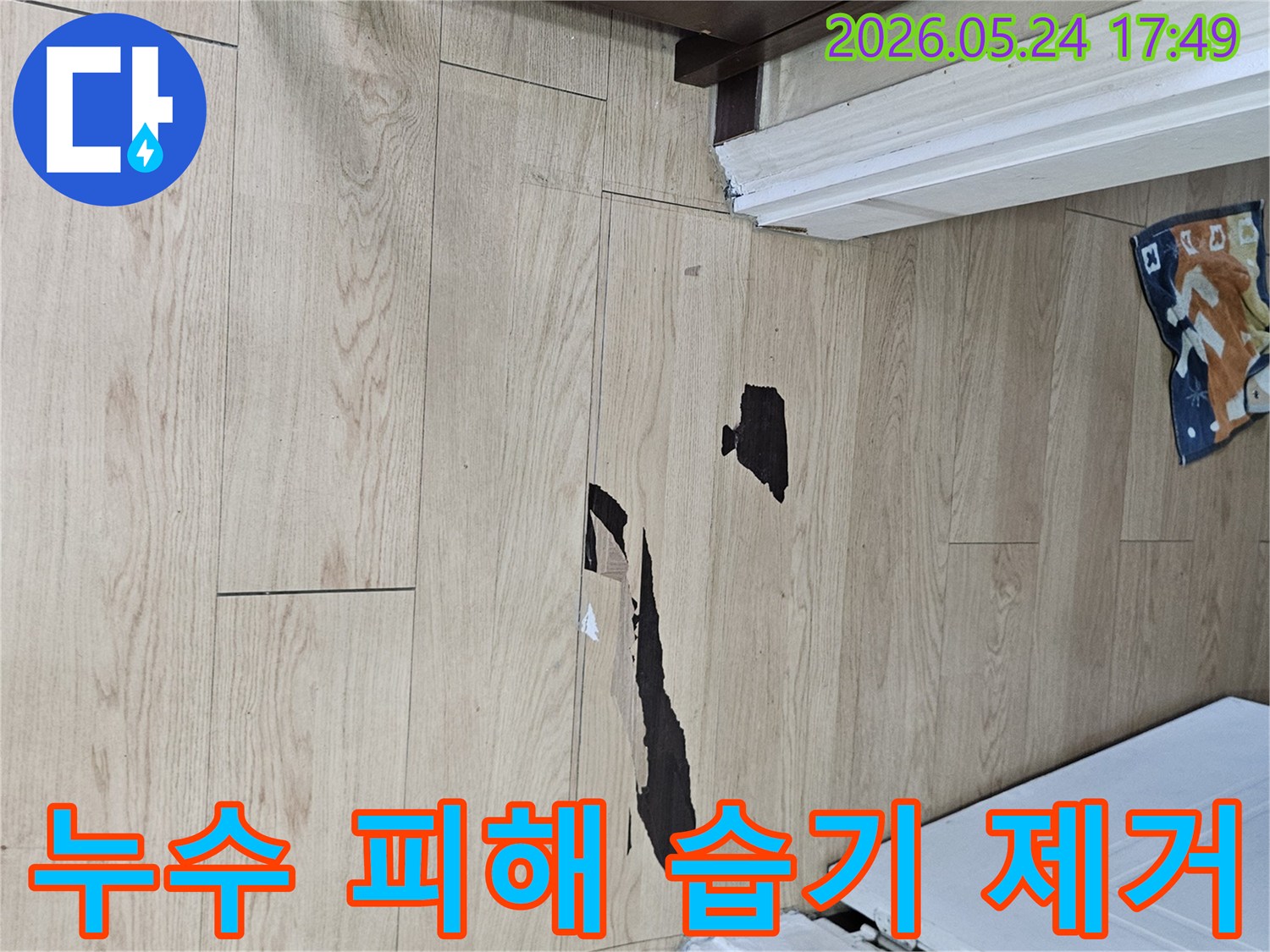 누수로 인해 마루 바닥이 심하게 젖고-손상된 상태에서-습기 제거 및 건조 작업이 필요한 현장
