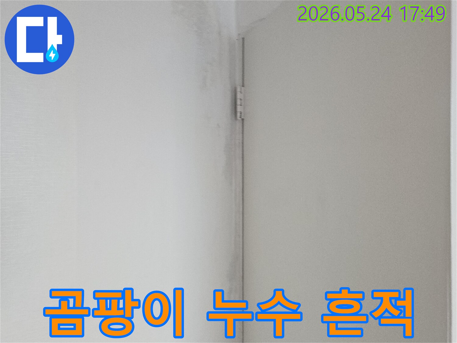 천장과 벽이 만나는 부분에 물기로 인해 생긴 곰팡이와 얼룩-누수 문제를 명확히 보여줍니다.