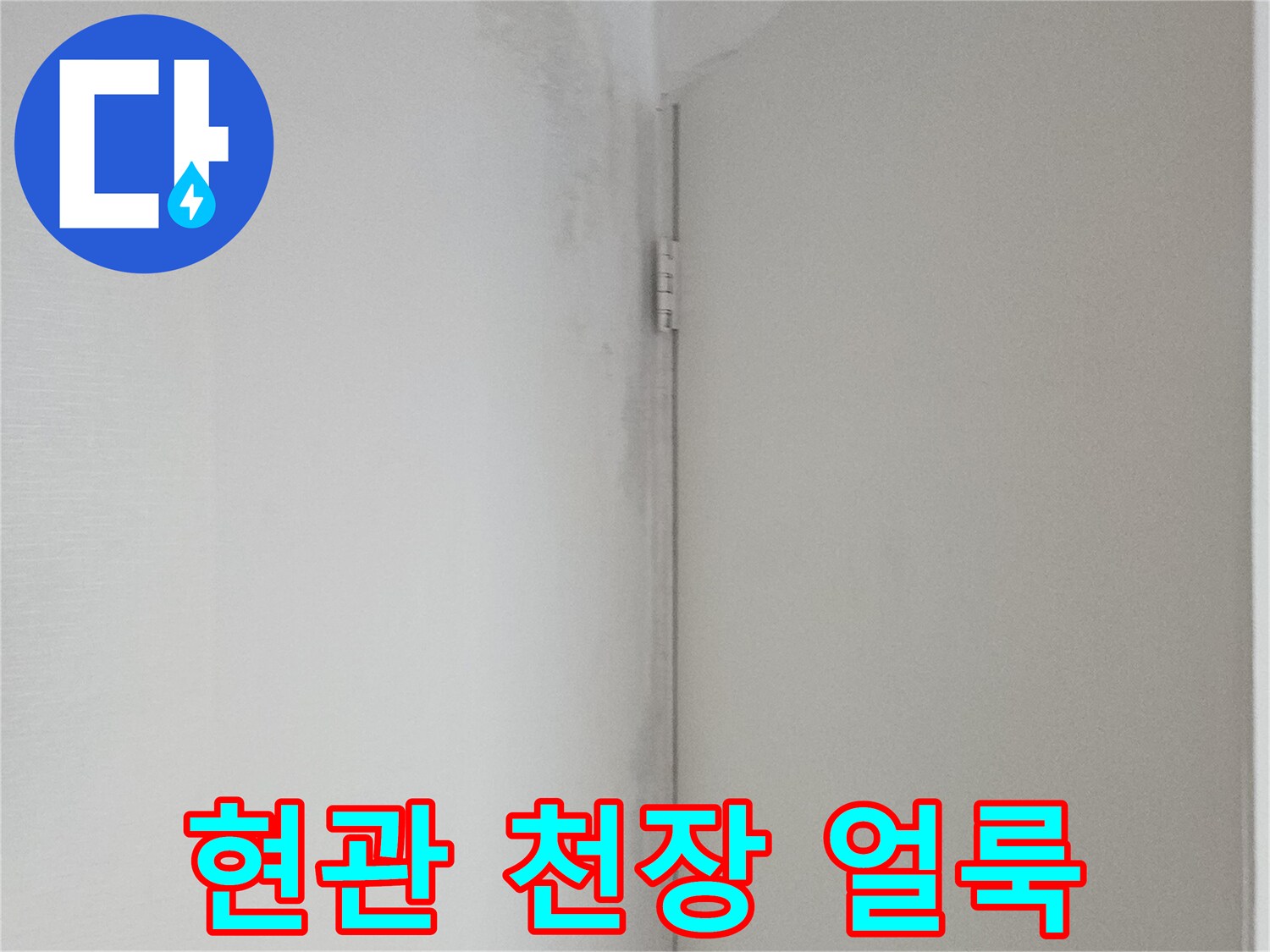 현관 천장 마감재의 누수 변색 부위 촬영