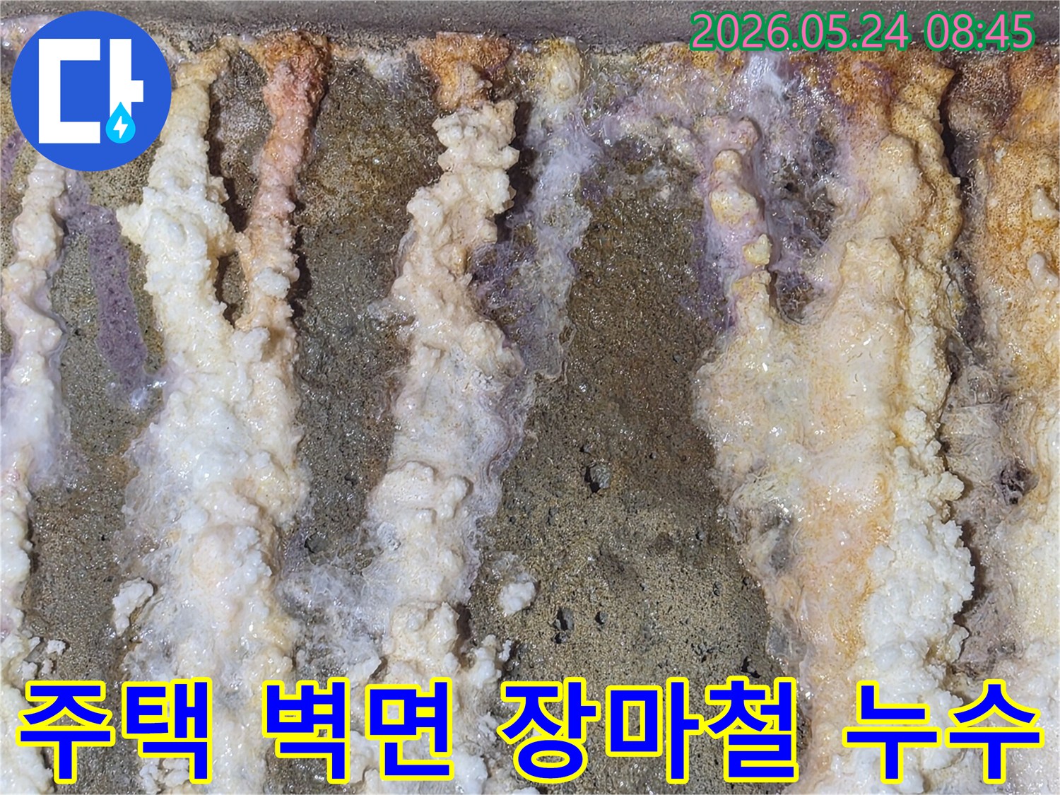 주택-벽면에-장마철-대비-사전-점검에서-발견된-백화현상과-누수-흔적
