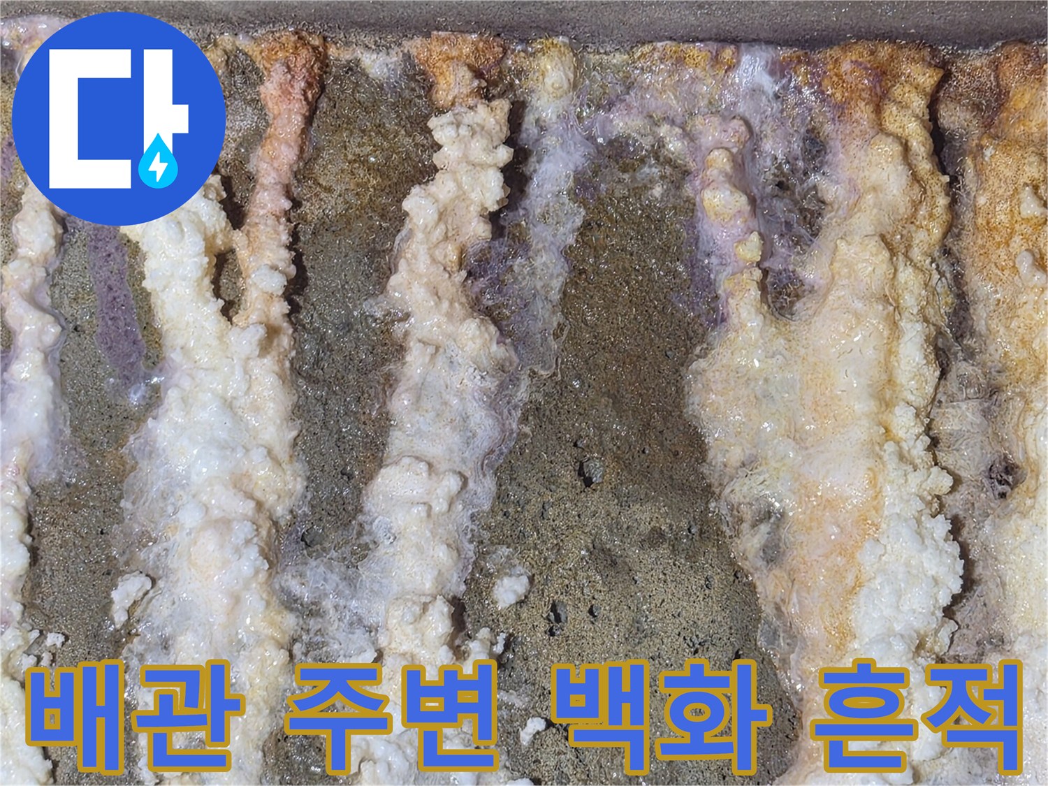 하얀 석회질로 덮인 배관-누수 진행 상태