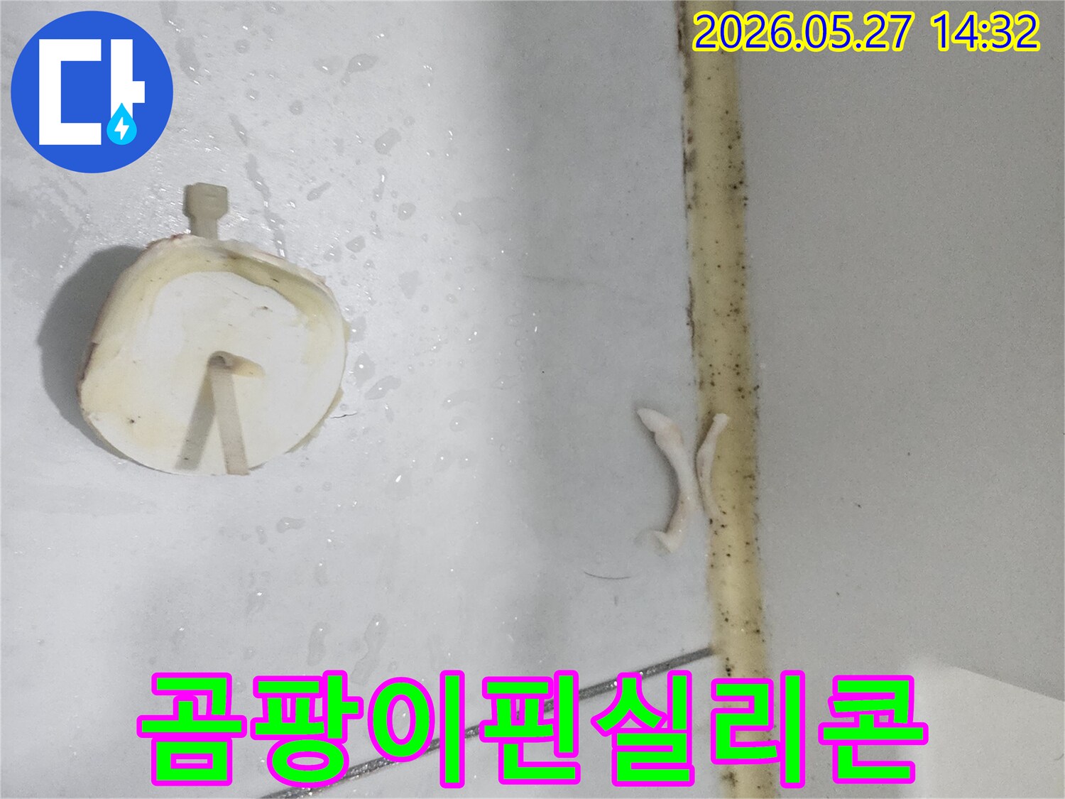 오염되고-손상된-욕실-실리콘과-배수구-마개-주변의-습한-상태를-보여주는-이미지입니다