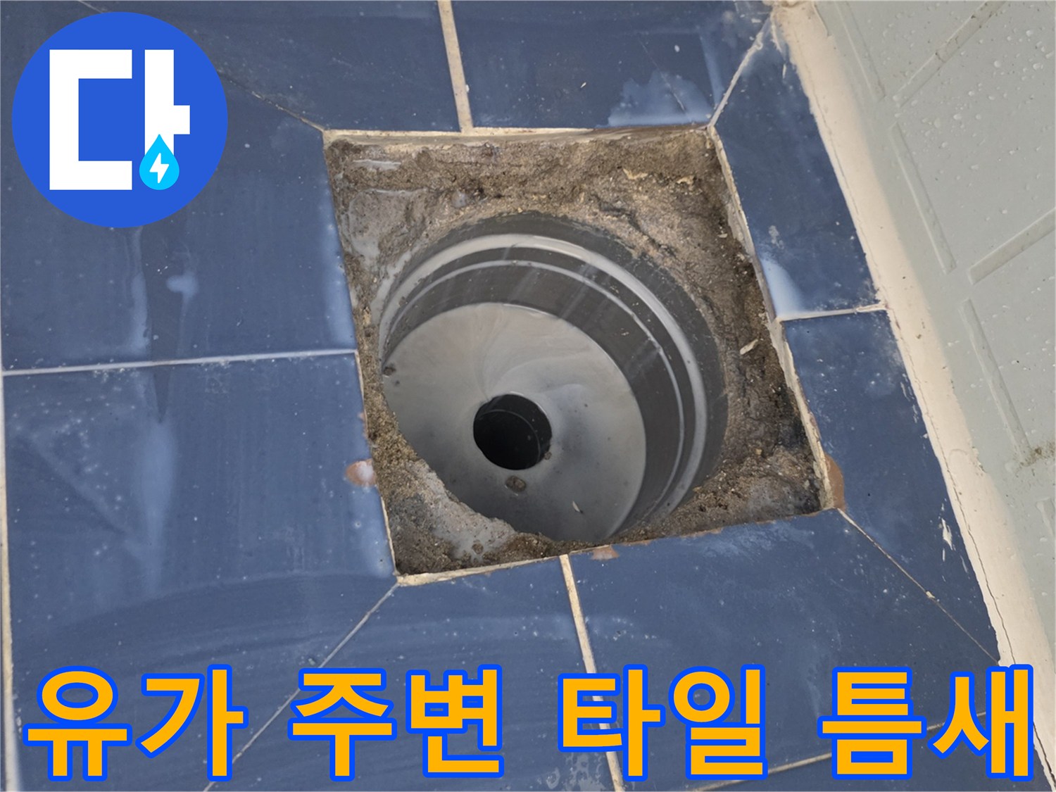 배수구-유가-주변-타일-틈새-관찰-사진