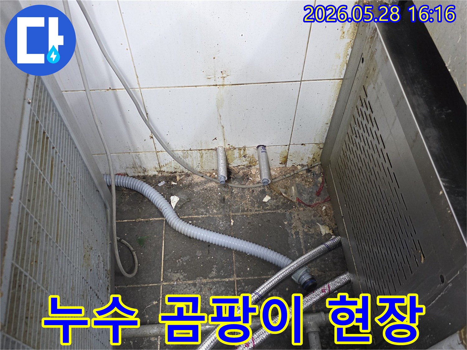 누수로 인해-벽면 타일과 바닥에-심하게 번식한 곰팡이와-오염된 배관 주변의 모습