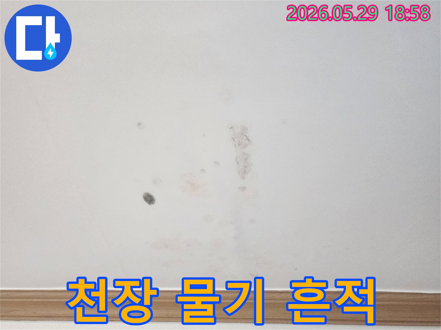 물샘 현상으로-천장에-발생한-젖은-자국과-곰팡이-징후를-포착한-이미지입니다