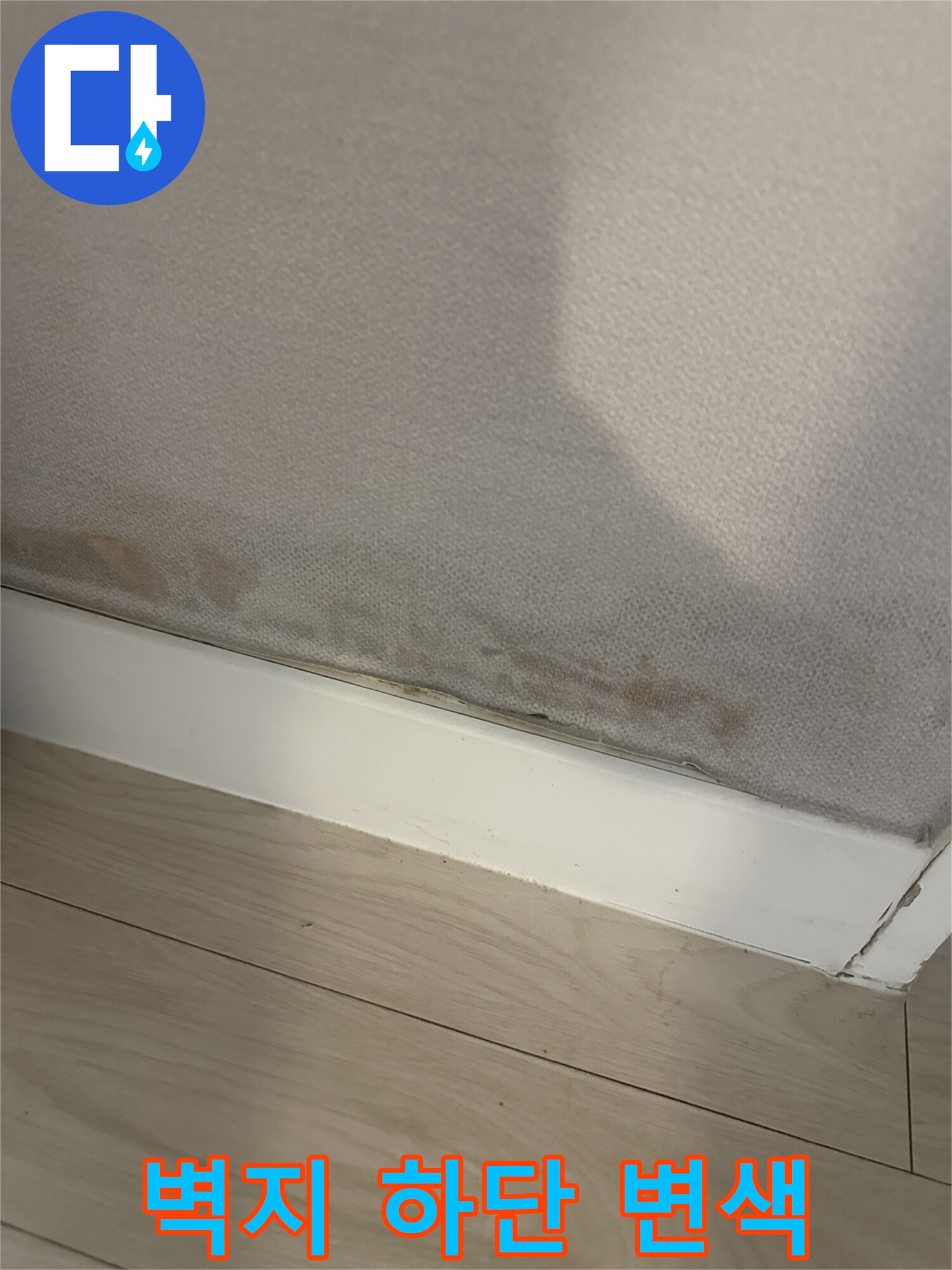 서대mun구 아파트-벽지 하단에 나타난 곰팡이와 변색 현상