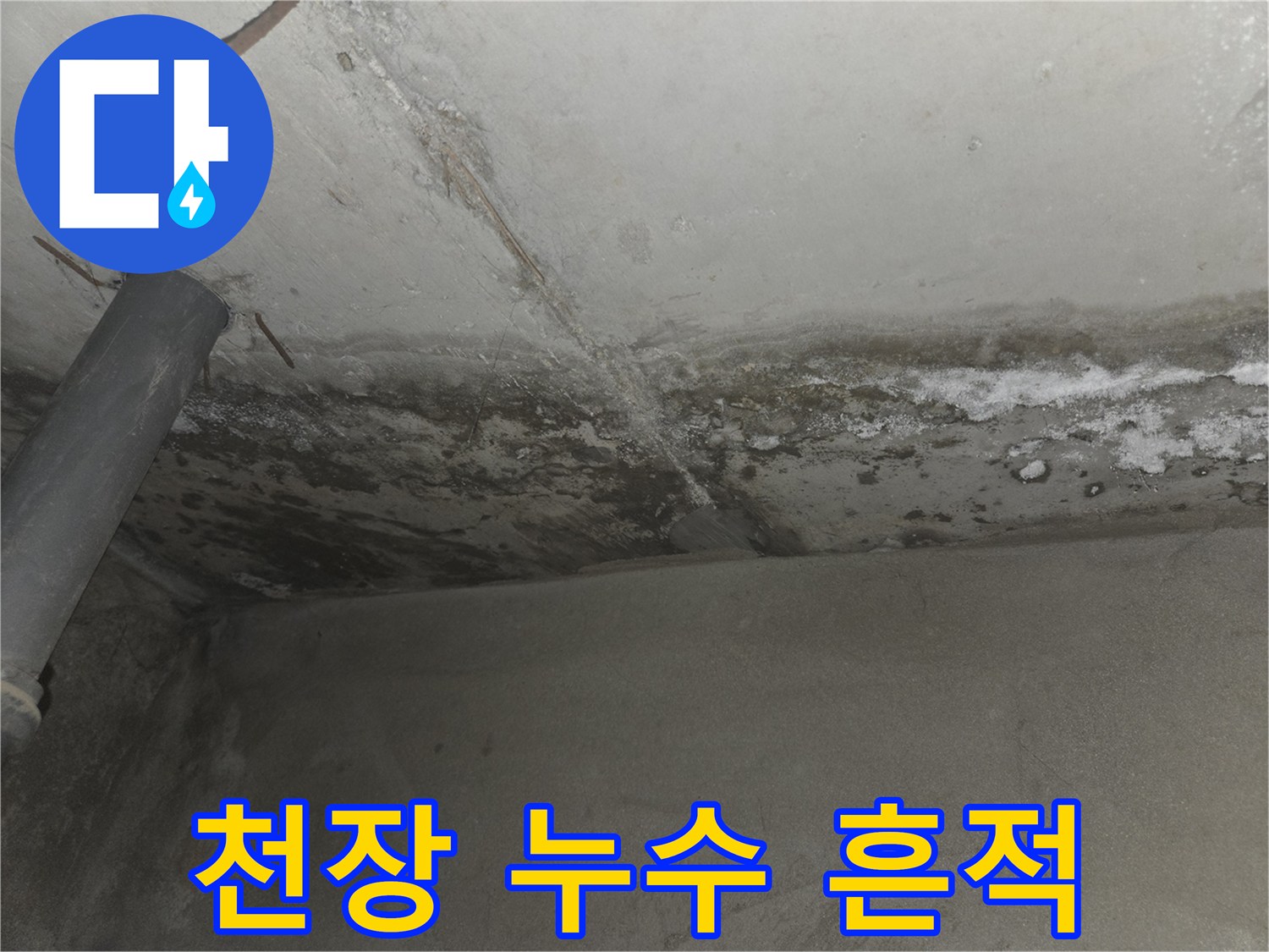 물샘으로 인해 형성된 천장 석회 고드름과 얼룩