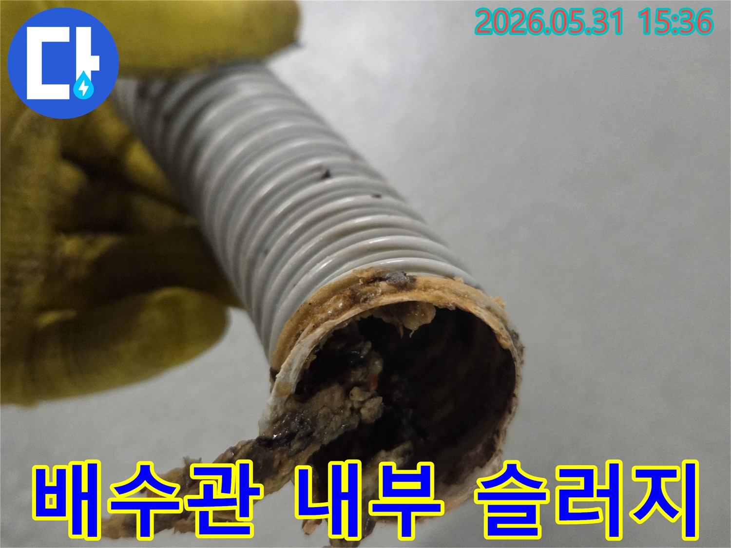 노란 장갑을 낀 작업자의 손이-오래된 슬러지로 막힌 배수관을 들고 있습니다.