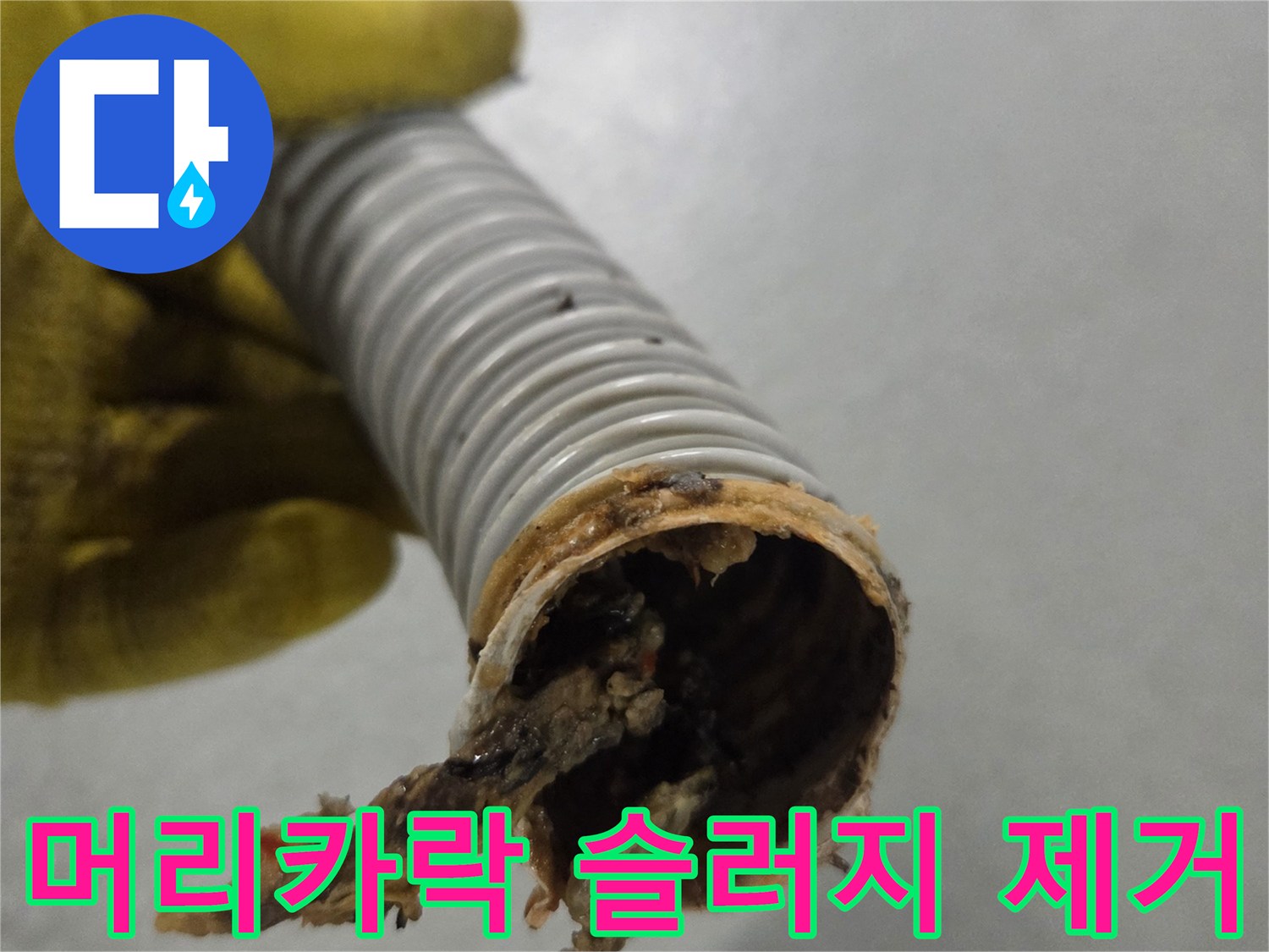 노란색 장갑을 낀 손이-머리카락과 비누 찌꺼기로 막힌 배수관을 들고 있습니다.