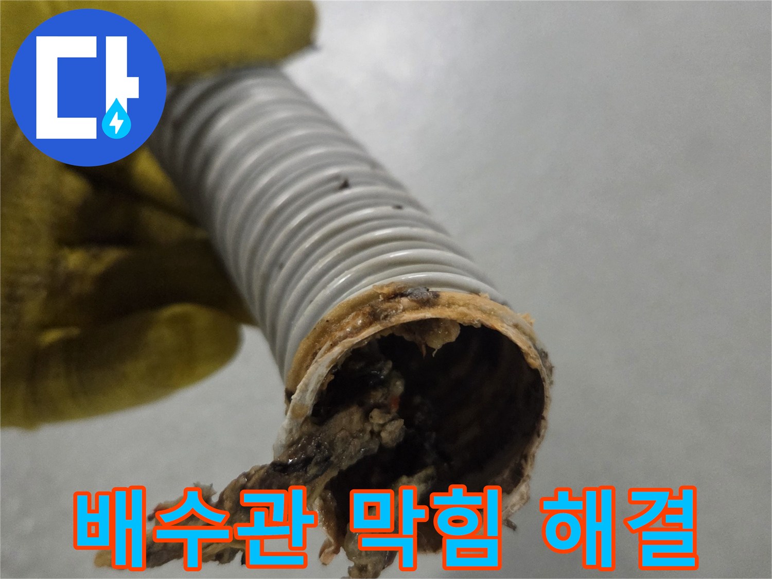 노란색 장갑을 낀 손이-오염된 배수관의 단면을-자세히 보여주고 있습니다.