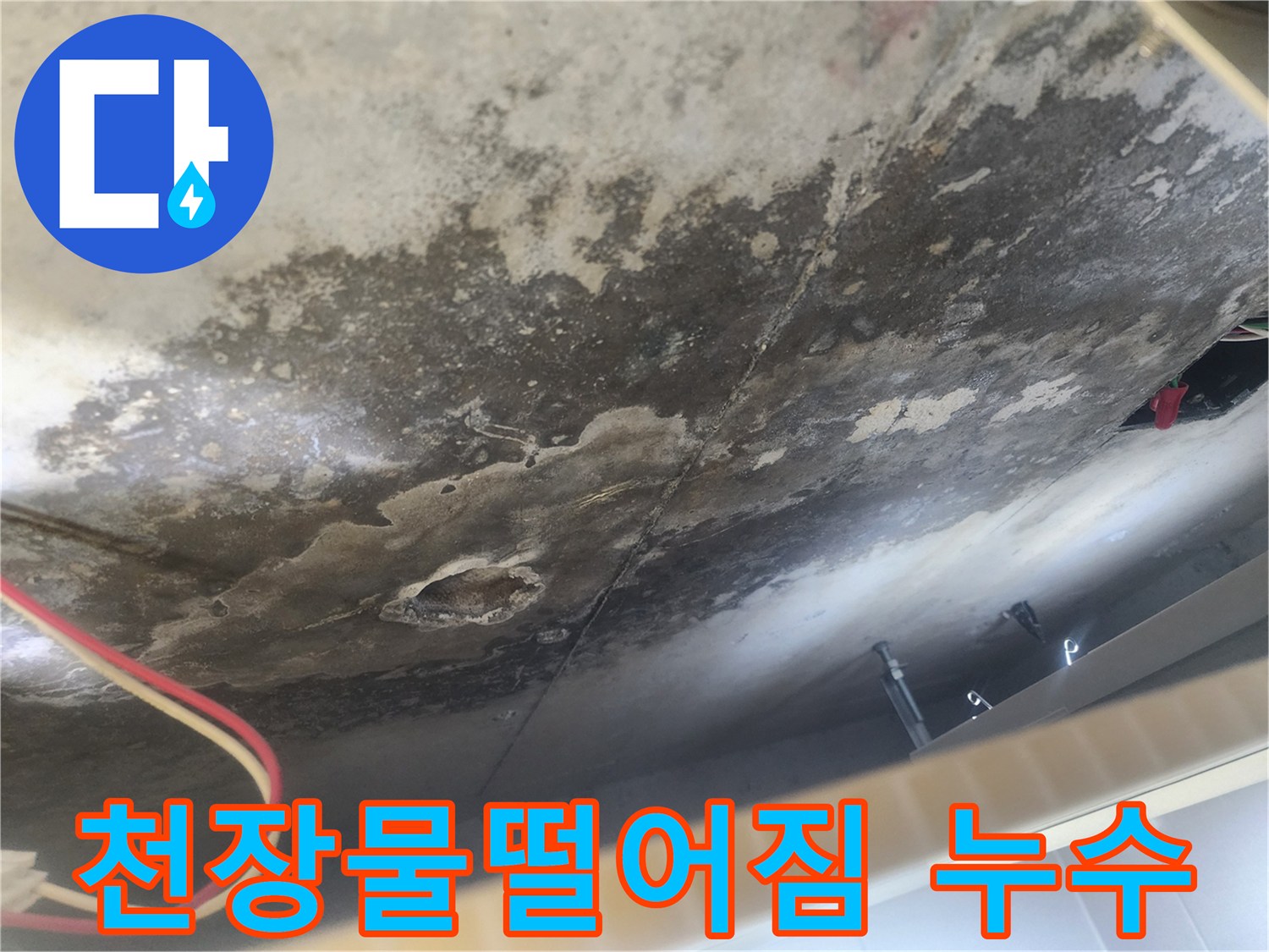 아랫집 천장에서 물이 떨어지고 곰팡이가 피어오른 심각한 누수-피해 현장-윗집으로부터의 물샘이 원인입니다.