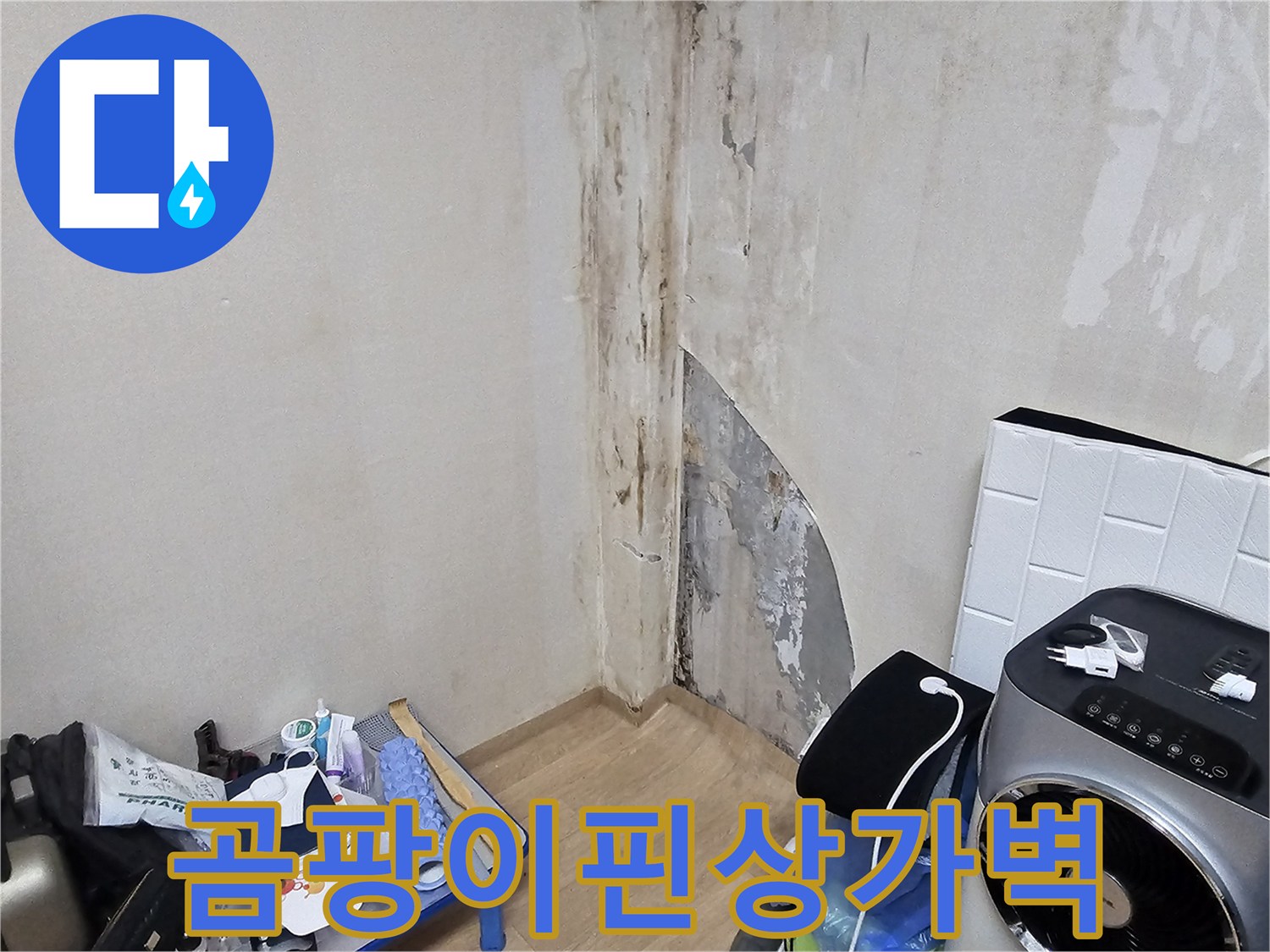 상가-내부-벽체-습기-및-곰팡이-오염-상태