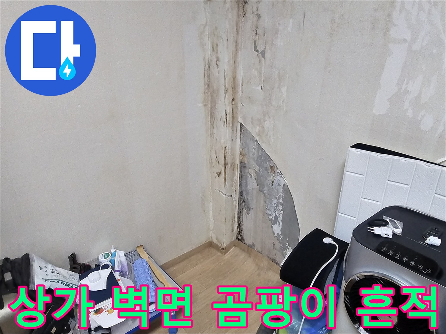 용인 수지구 상가 내부-벽면에 발생한 심한 곰팡이와 습기 흔적