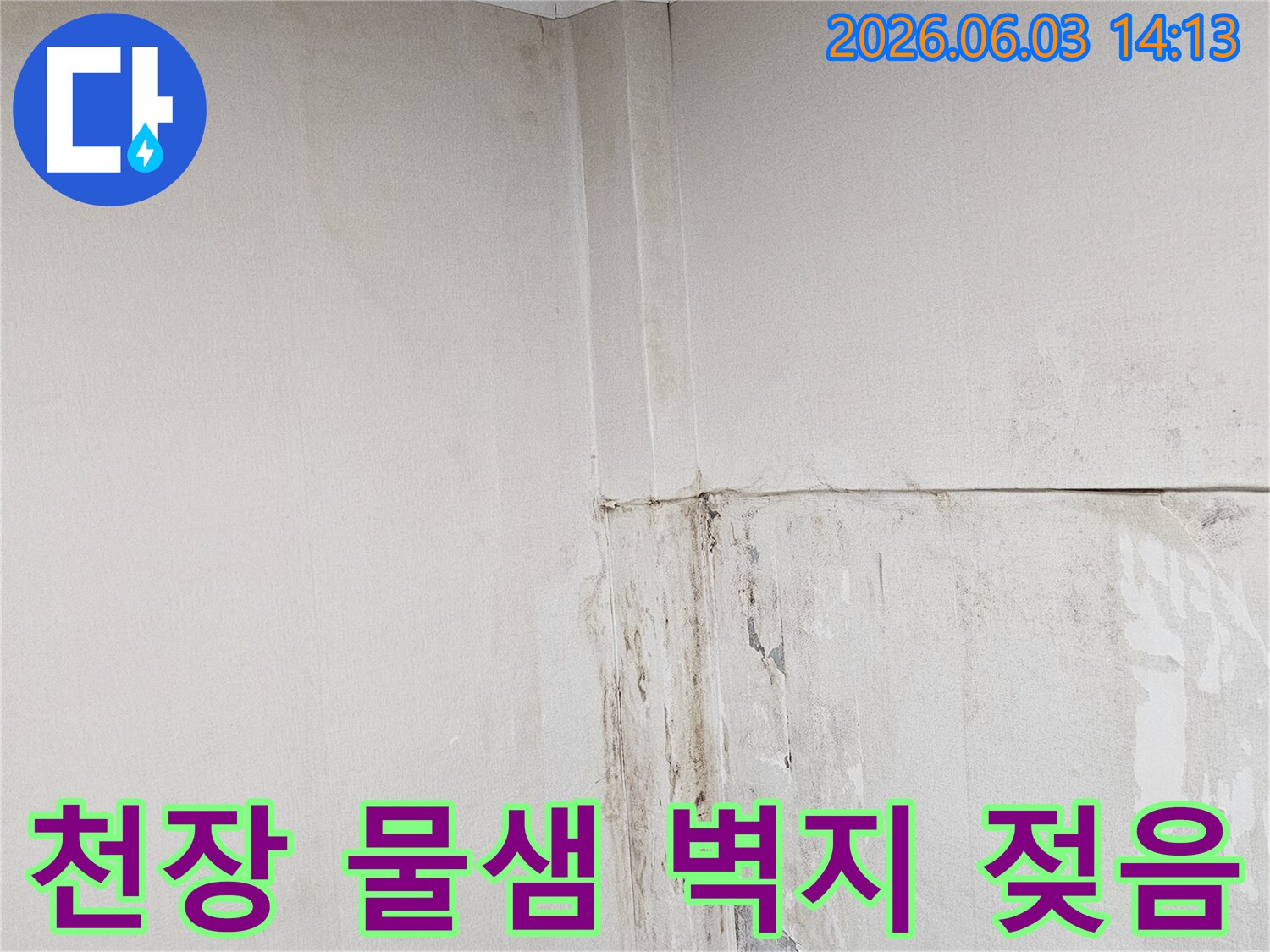 천장-모서리에서-물이-새어-벽지가-젖고-변색된-누수-현장
