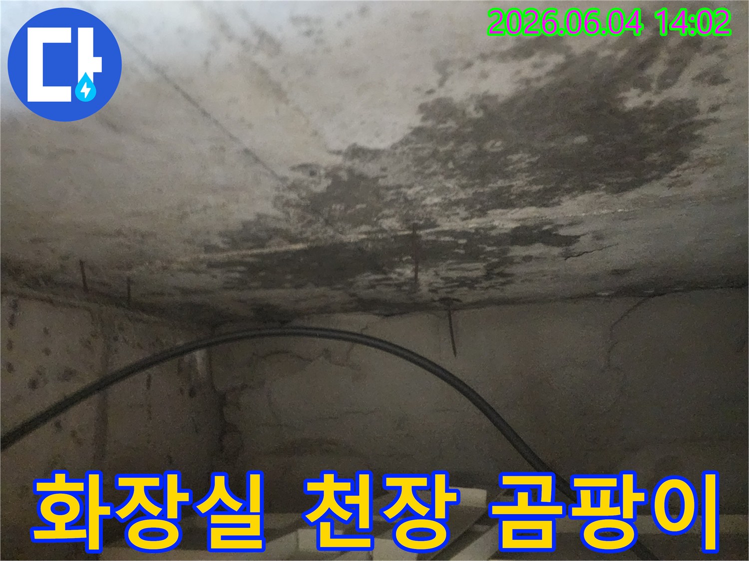 누수로 인해 아파트 화장실 아래층 천장에 번진-검은 곰팡이와-물에 젖은 흔적을 보여주는 이미지입니다.