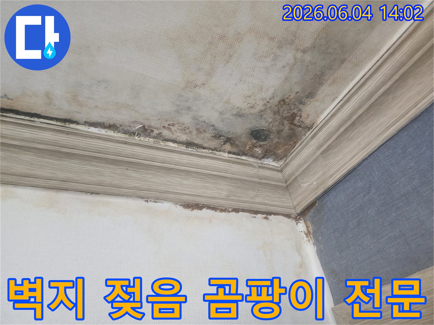 천장과 벽의 경계면에-누수로 인한 벽지 젖음과-검은 곰팡이가 번져있는-빌라 내부의 손상된 모습