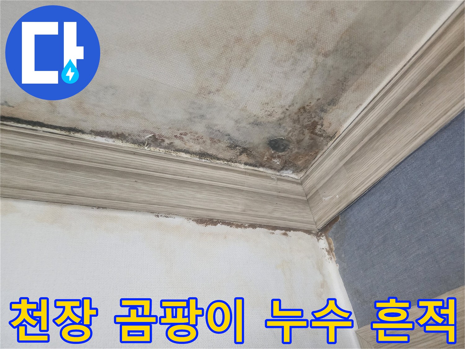 평택 아파트 천장 모서리에 심각하게 번진 곰팡이와-누수로 인한 물자국은-정확한 원인 탐지가 시급함을 보여줍니다.