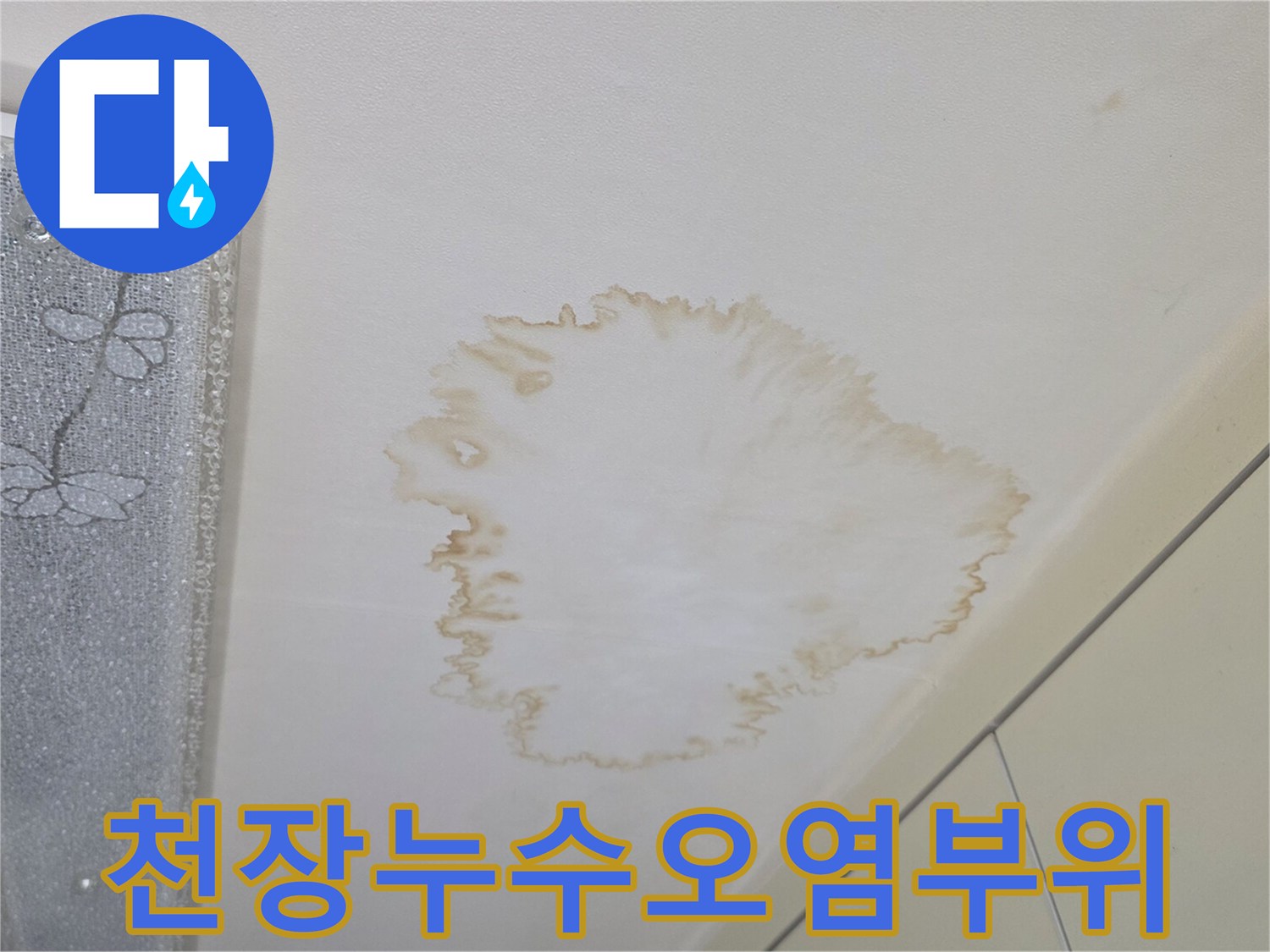 갈색으로 오염된 천장 벽지 부위를 촬영한 사진입니다.
