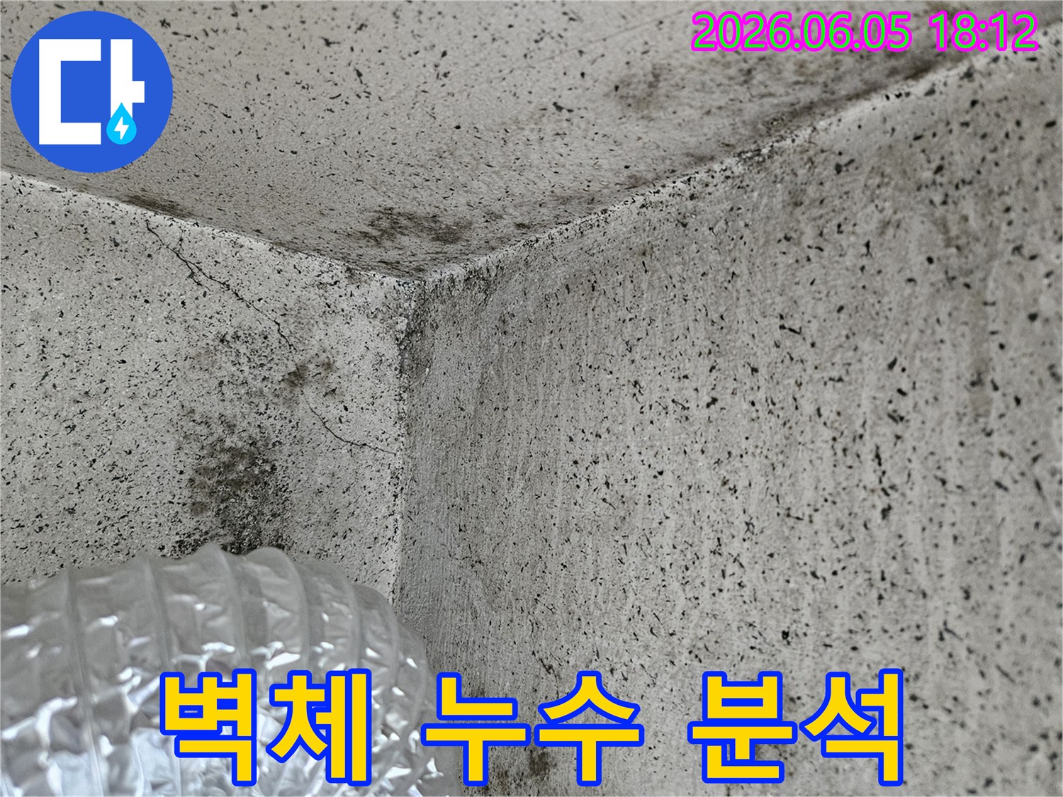 벽과-바닥-경계면의-습기-침투로-인한-곰팡이-및-균열-모습
