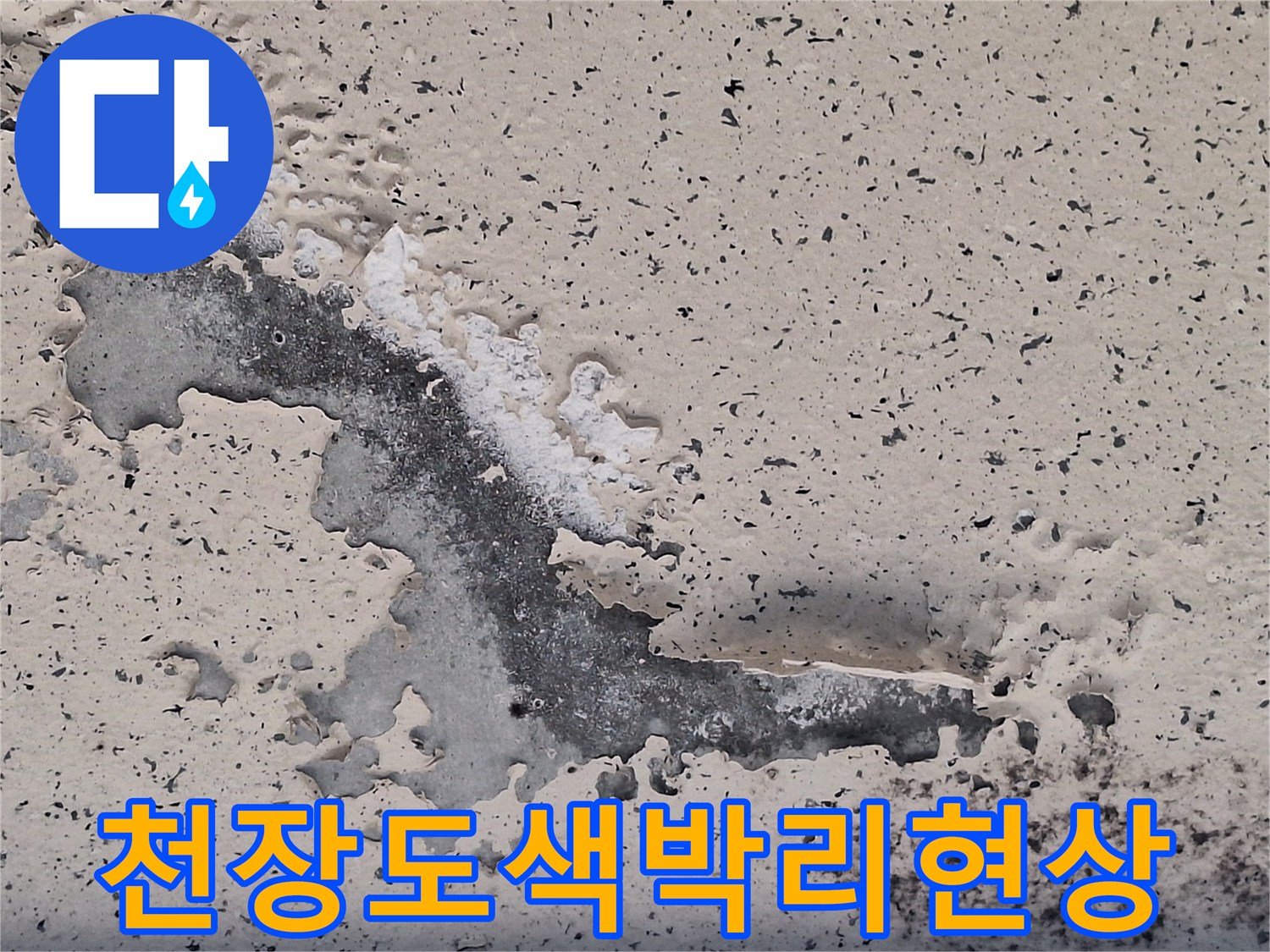 습기로 인해 페인트가 조각나며 벗겨진 베란다 천장 부위 사진