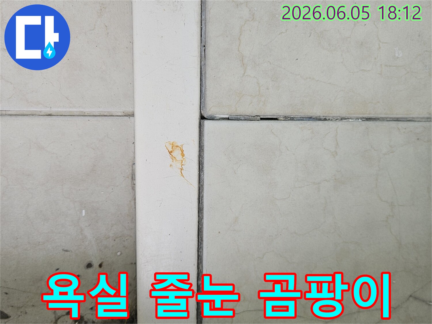 양주시 평화로 욕실에서-누수로 인해-타일 줄눈에-곰팡이와 물기가-생긴 상황을-보여주는 사진입니다