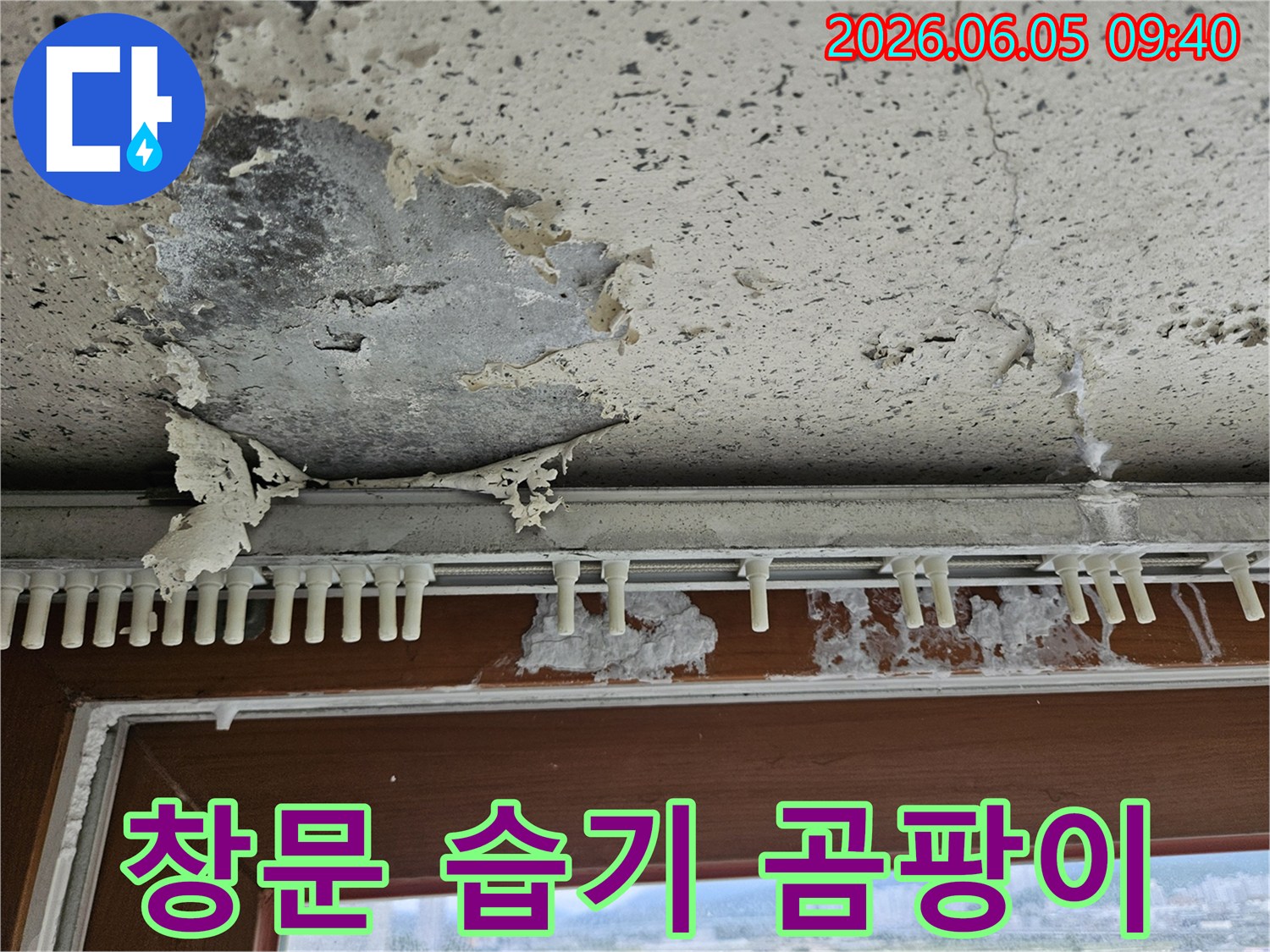 창문 주변 벽면에서-습기로 인해-페인트가 들뜨고-곰팡이가 번식한-빌라 누수 현장