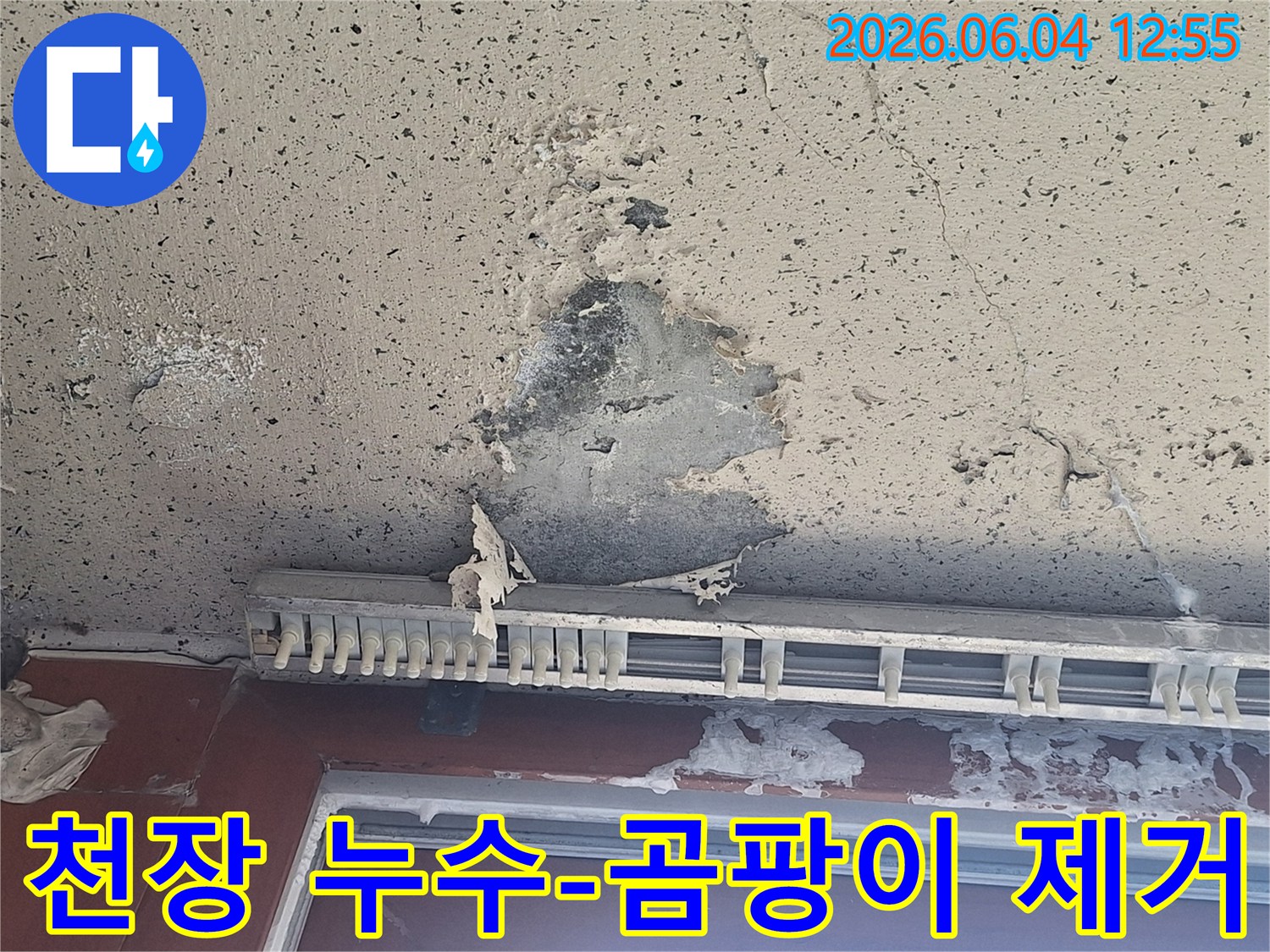 천장에 발생한 곰팡이와-페인트 벗겨짐으로 인한-누수 현장의 친환경 곰팡이 제거