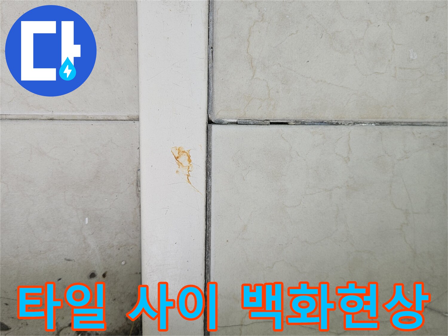 하얗게 변한 타일 줄눈과 미세하게 갈라진 바닥 타일 경계선