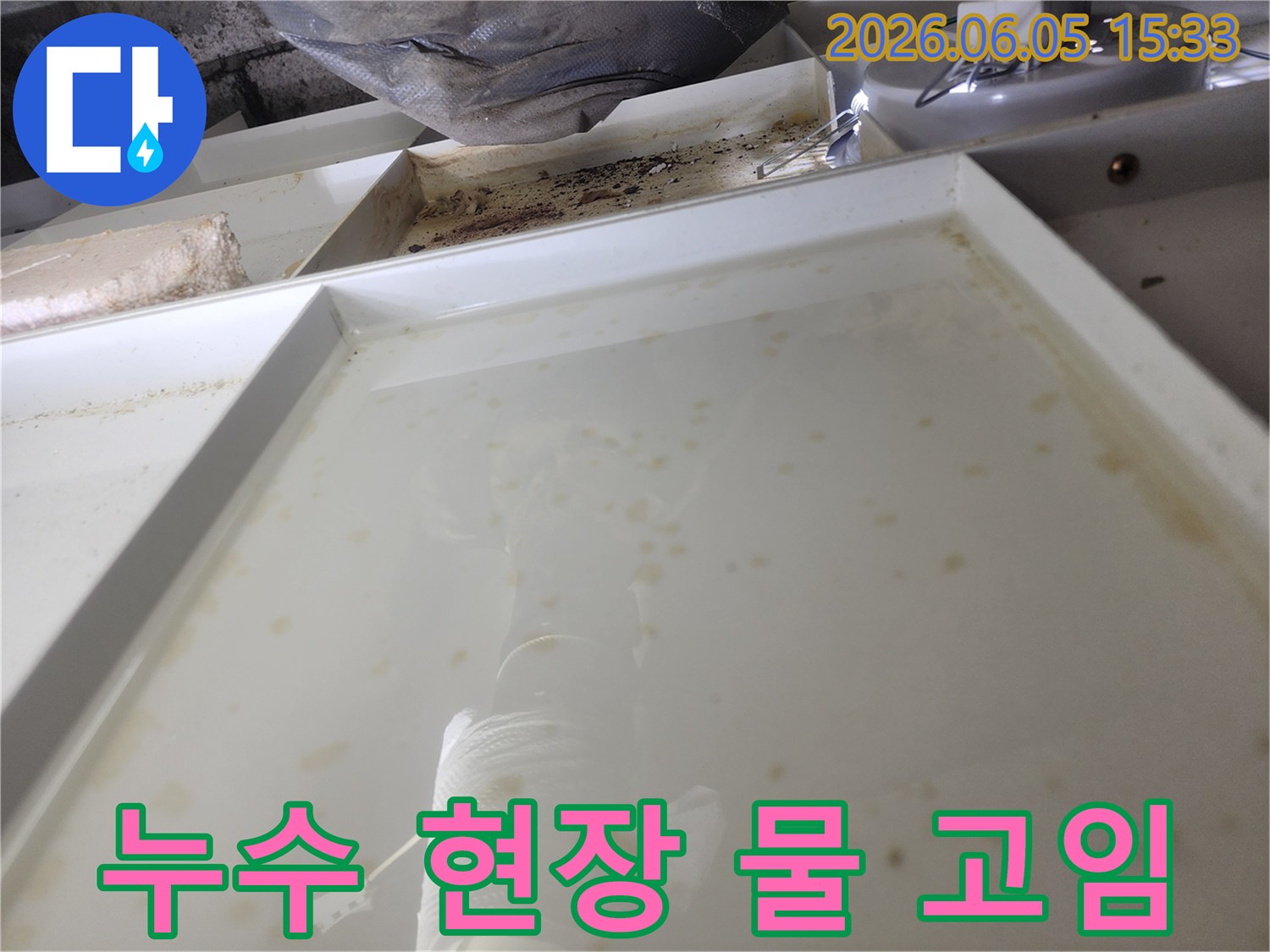 누수 발생으로 인해 물이 고인 현장-정밀 탐지를 위한 초기 단계