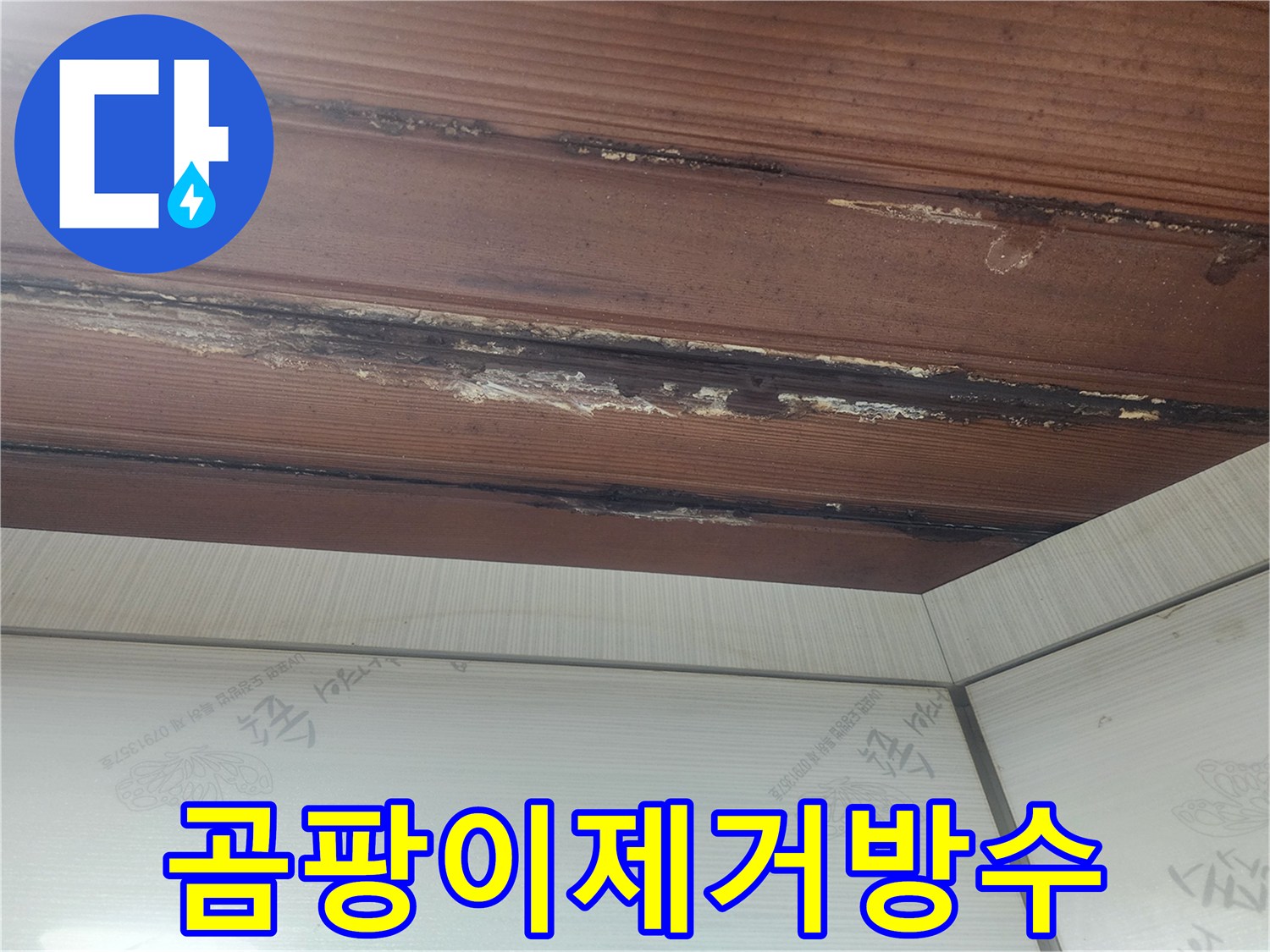 천장에-발생한-곰팡이를-제거하고-완벽한-방수-시공을-진행하는-모습입니다.