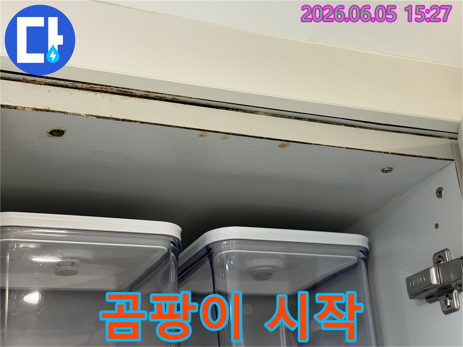 천장-누수로-인해-발생한-위생-문제를-시각적으로-보여주는-사진입니다