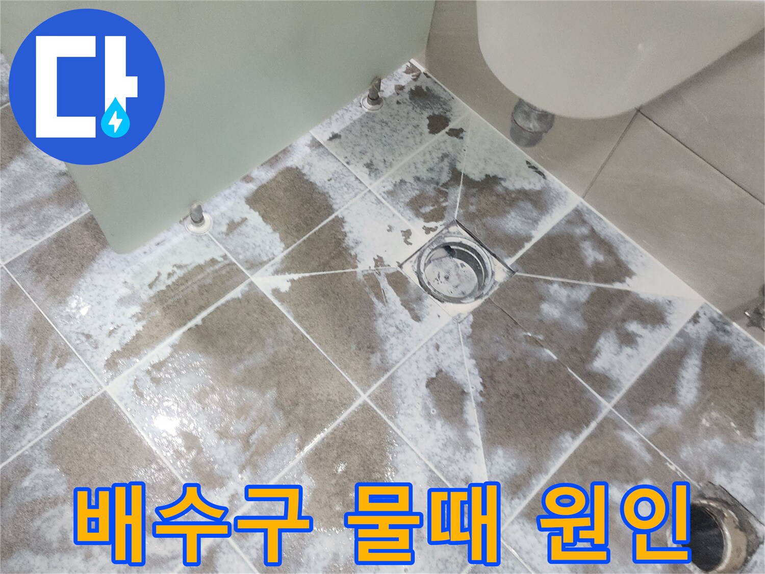 고양시 일산 지역-욕실 배수구 주변에-하얗게 낀 물때를 제거하며-누수 원인을 파악하는-공사 현장 사진