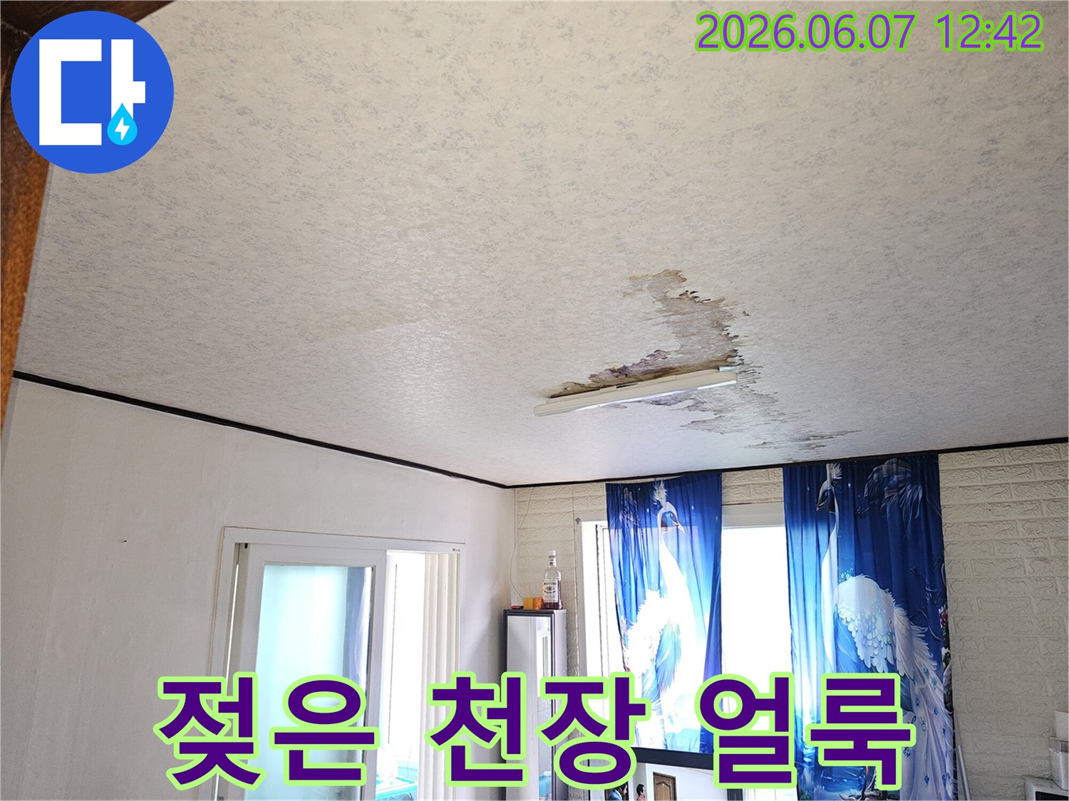 배관-문제로-천장이-젖어-곰팡이가-생기기-시작하는-누수-상황