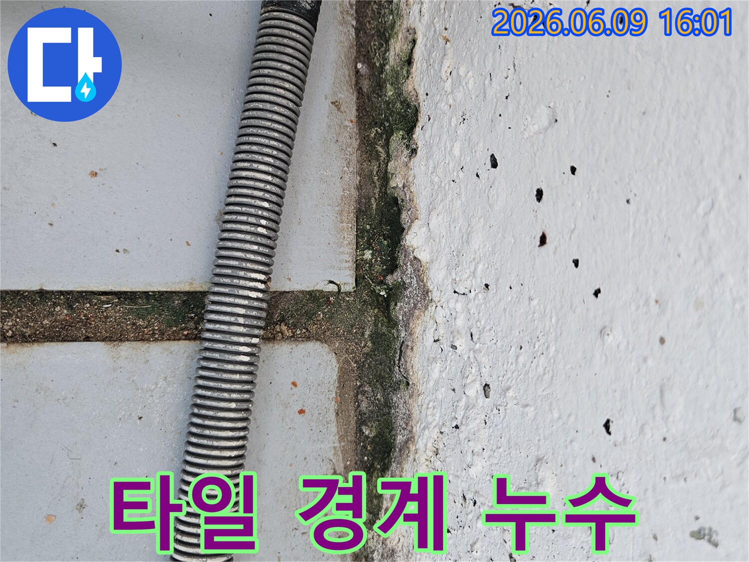 벽 하단에 발생한 곰팡이와- 물자국- 그리고 바닥을 가로지르는 배관의 상세한 모습을 보여줍니다