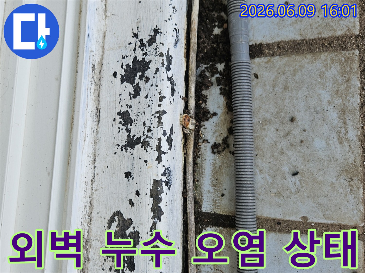 의정부 호원동 한신아파트 외벽의-누수로 인한-심각한 오염 상태와-주변 환경을-보여주는 현장 사진
