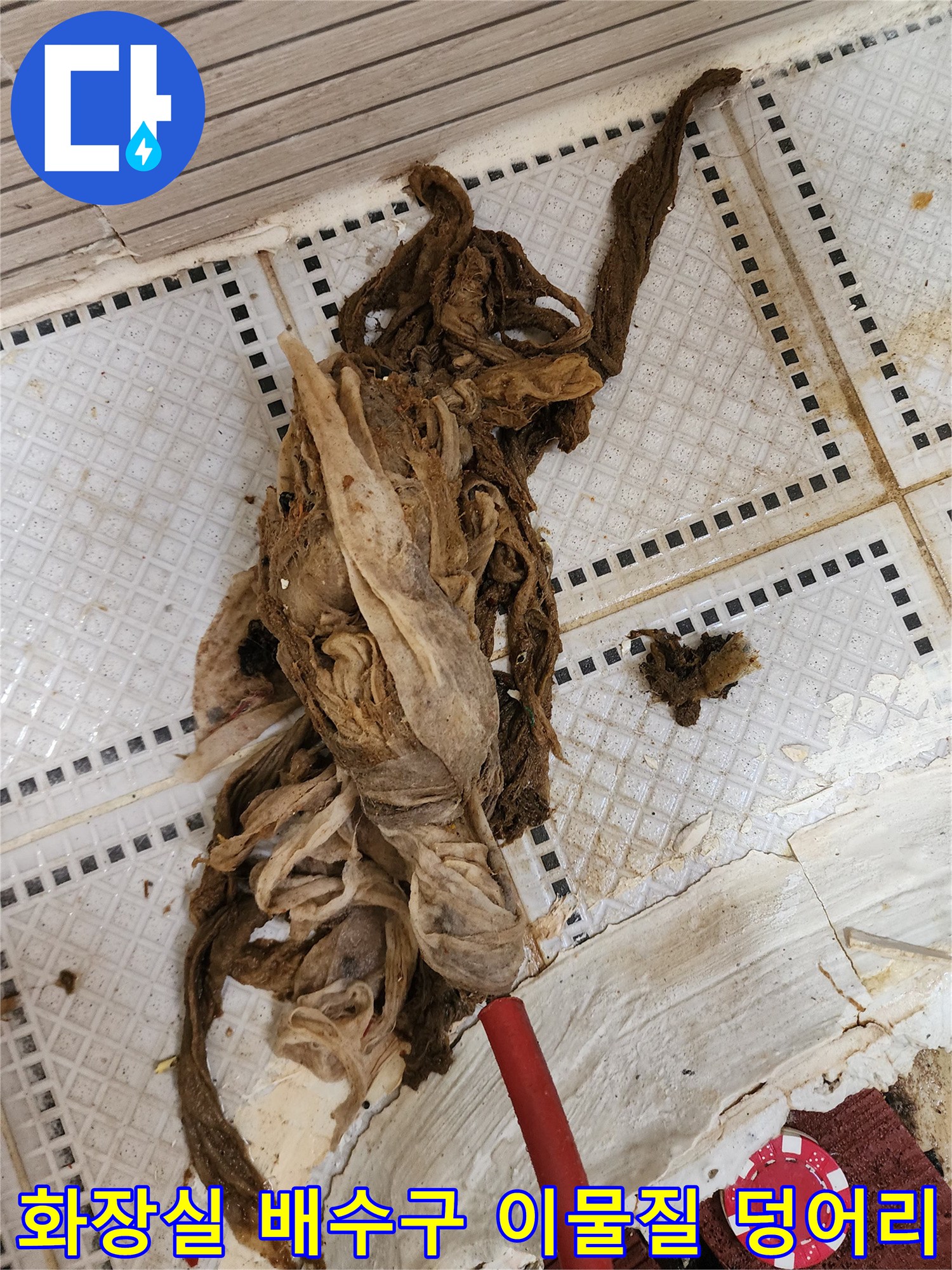 상계동 화장실 바닥 배수구에서 끌어올린 거대한 머리카락과 섬유 찌꺼기 뭉치