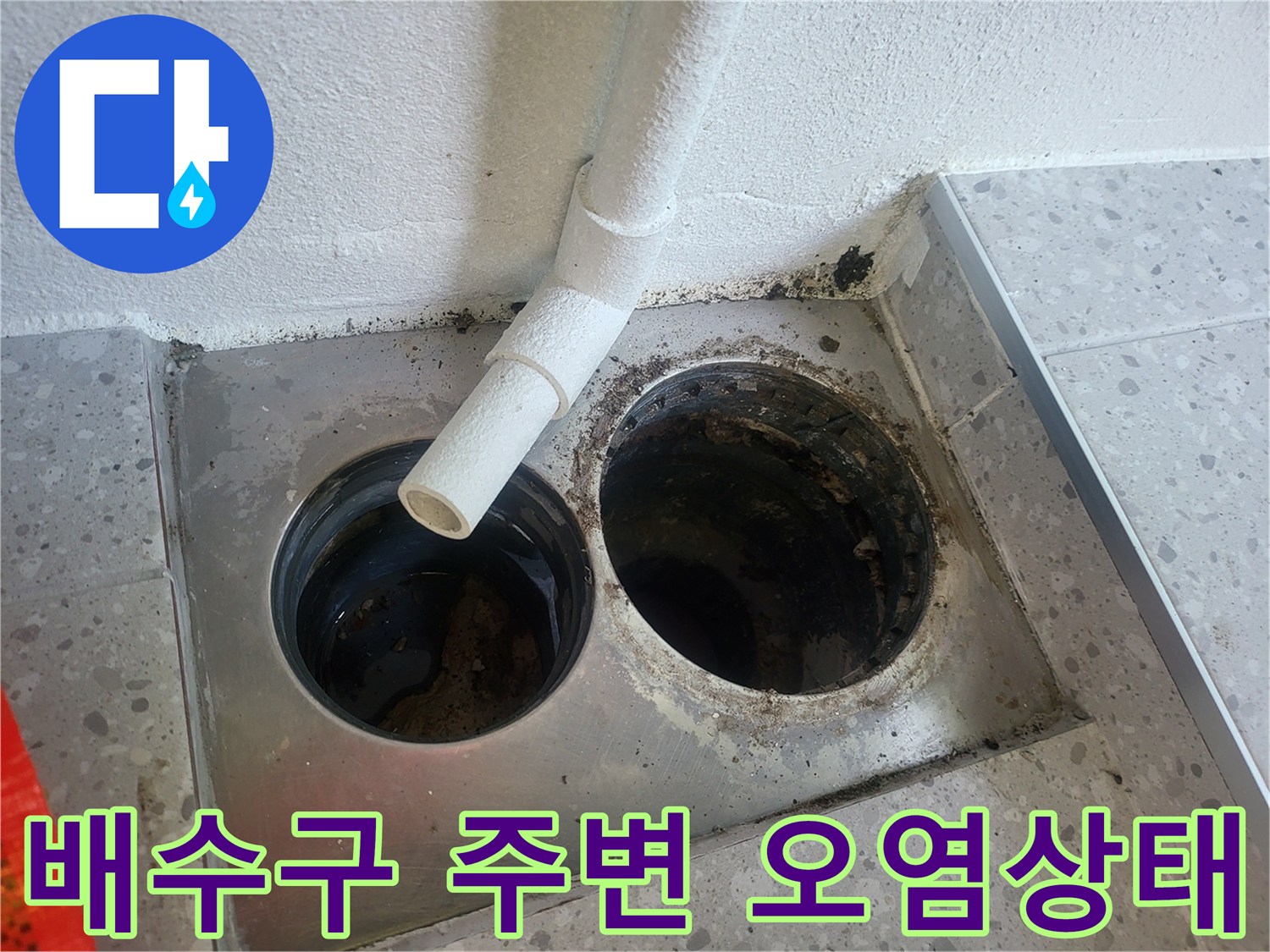 스테인리스-배수구-트랩-내부-오염물 확인