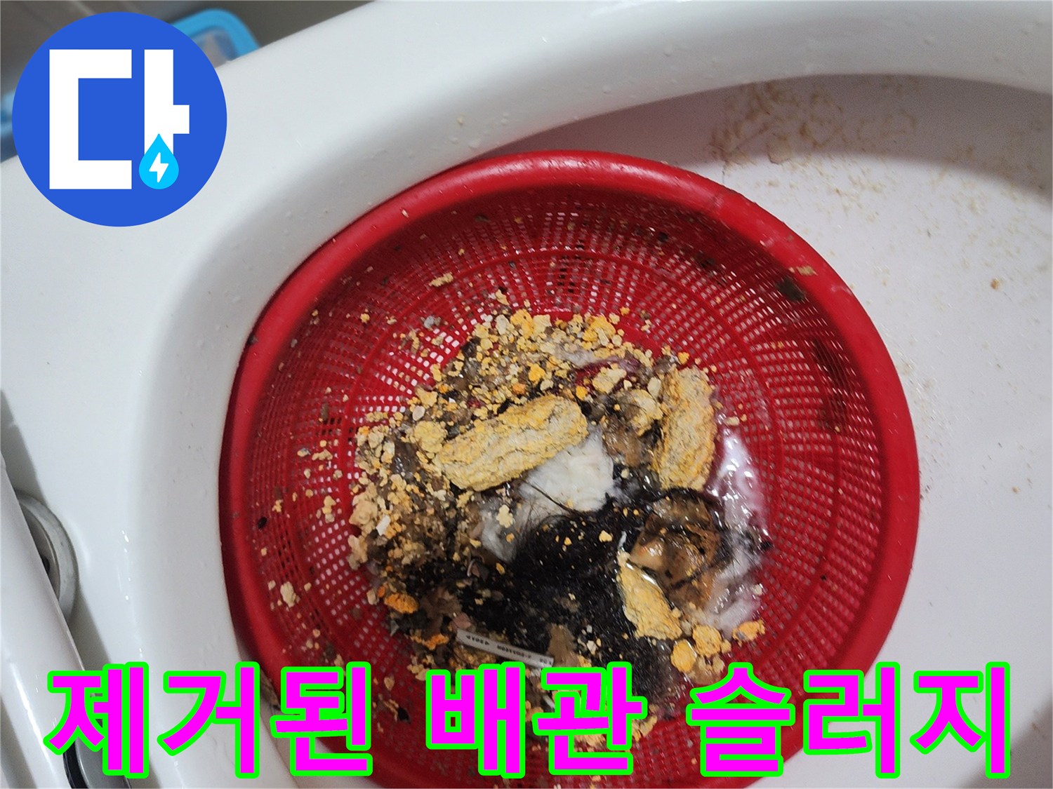 스케일링 후 수거한-머리카락과 고착 슬러지