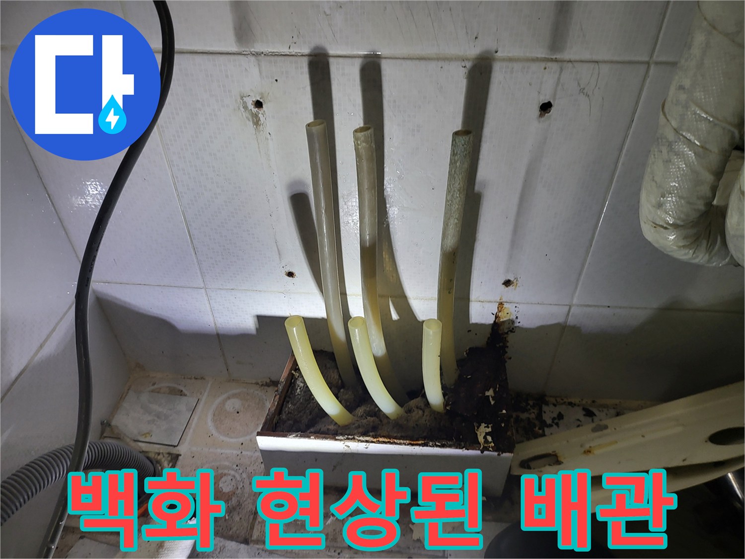 노후된 배관 부속 주변에 발생한 심한 백화 현상