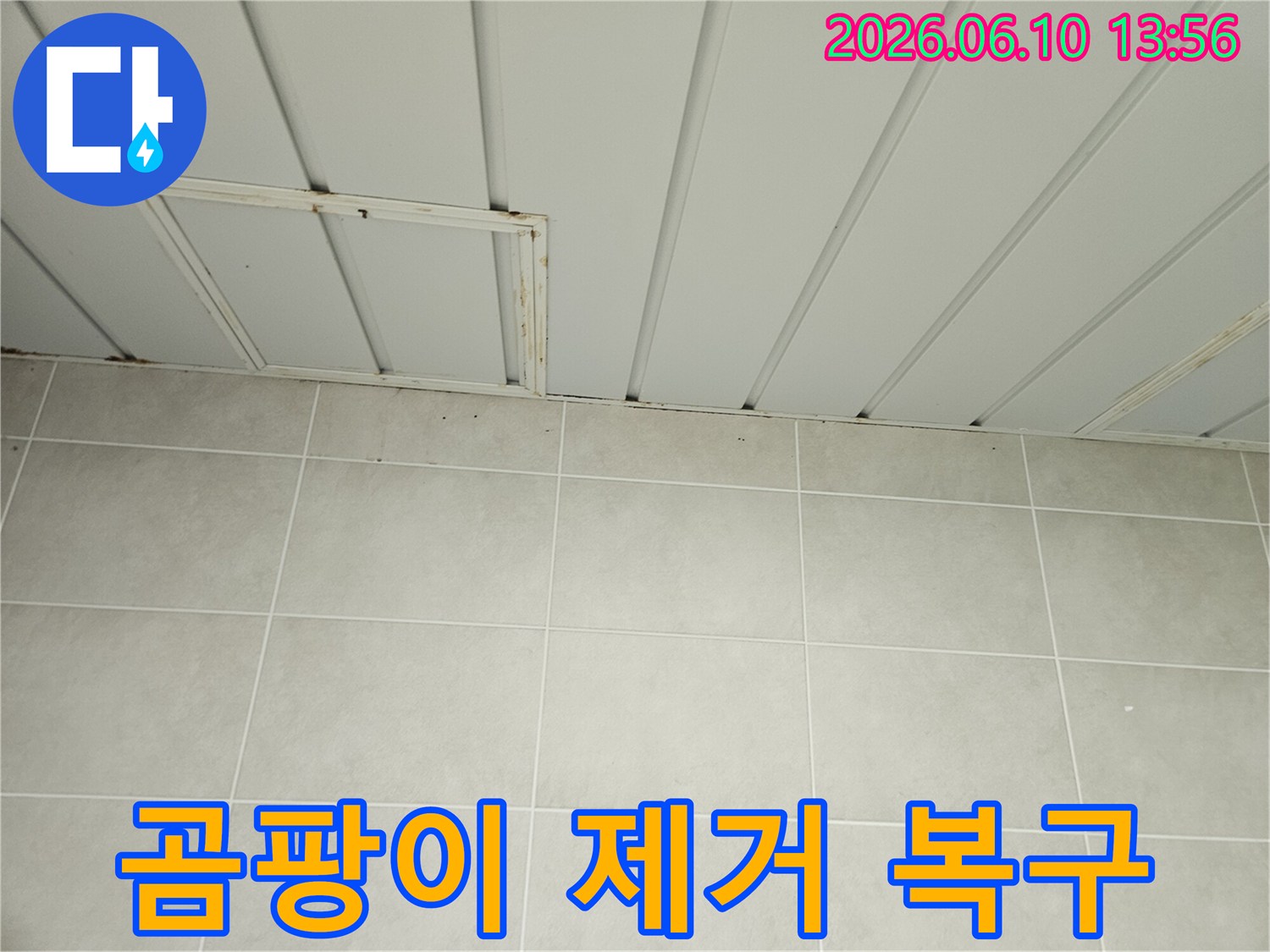 가평 맹호아파트 욕실 천장 타일 상단에 누수로 인한 검은 곰팡이가 심하게 번진 모습입니다-이는 곰팡이 제거 및 복구가 필요한 상황입니다