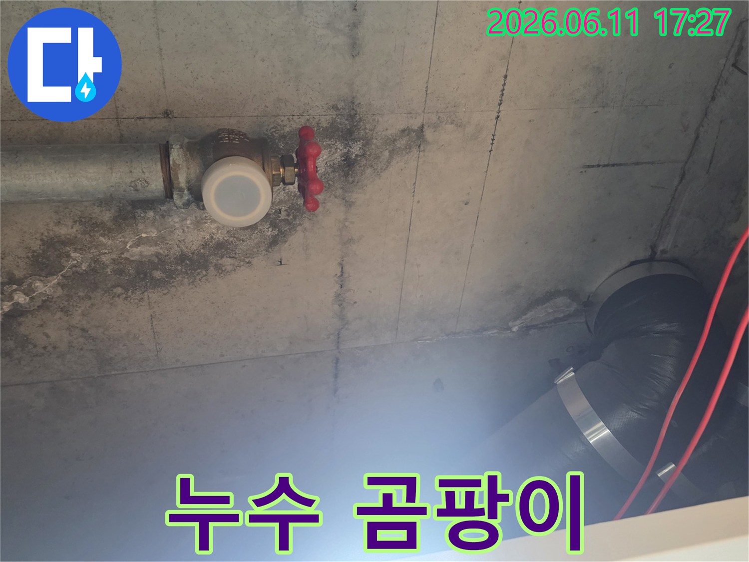 누수 원인을 찾기 위해-천장 배관과-밸브 상태를-면밀히 확인하고 있습니다