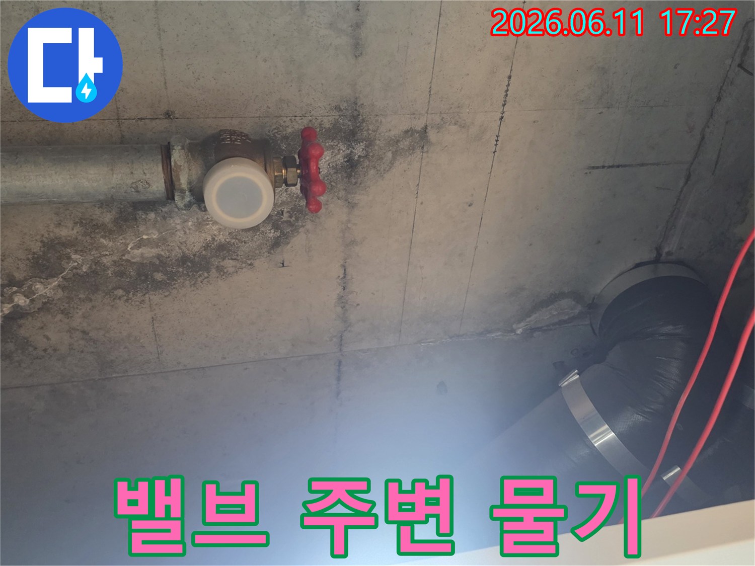 콘크리트 천장에-물자국과 곰팡이가-선명하게 보이는-누수 현장 사진입니다