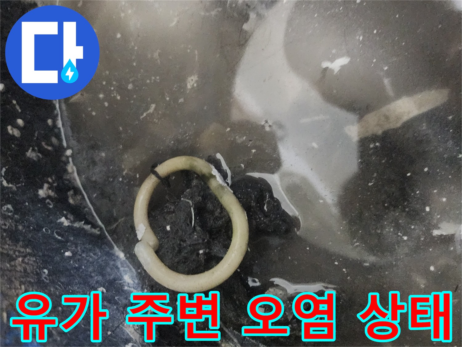 화장실 배수구 유가 내부의 이물질과 오염된 상태를 보여주는 사진