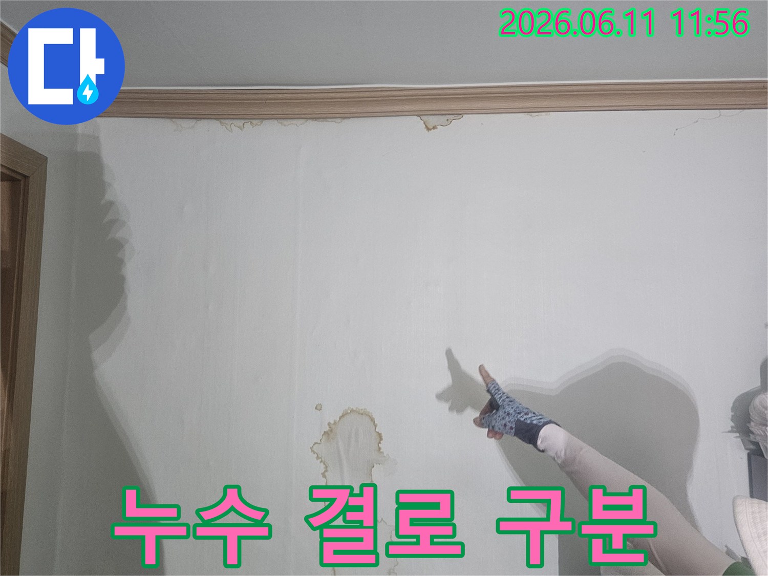천장-누수-얼룩을-가리키며-누수와-결로-현상의-차이점을-설명하는-전문가