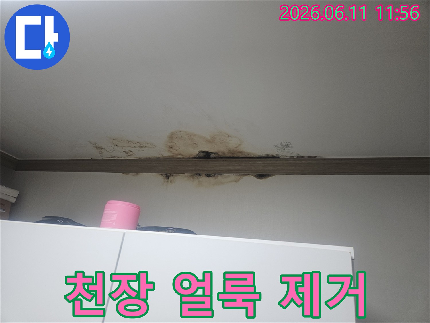 천장에서 물이 새어-얼룩과 곰팡이가 생긴-심각한 누수 현장 이미지