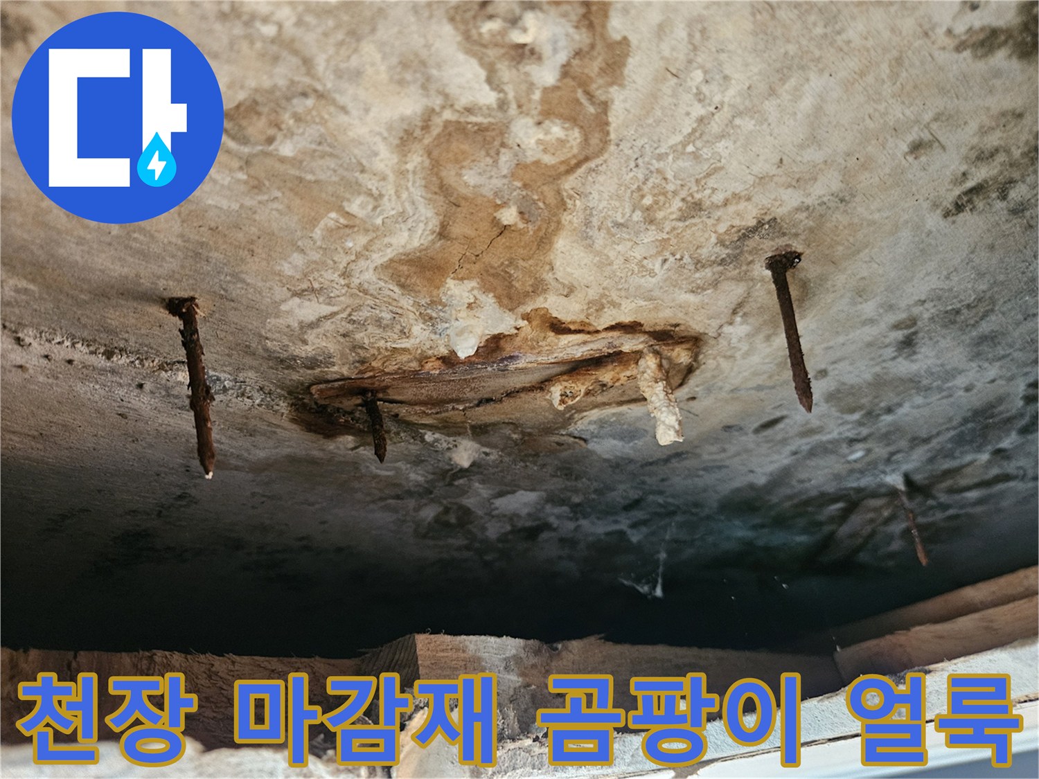 천장 내부-물기에 의한 마감재 변색과 오염 부위